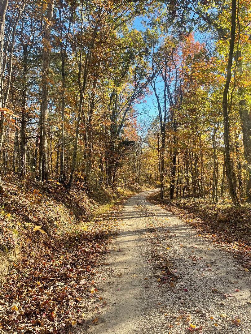 Image 1: thumbnail (16)