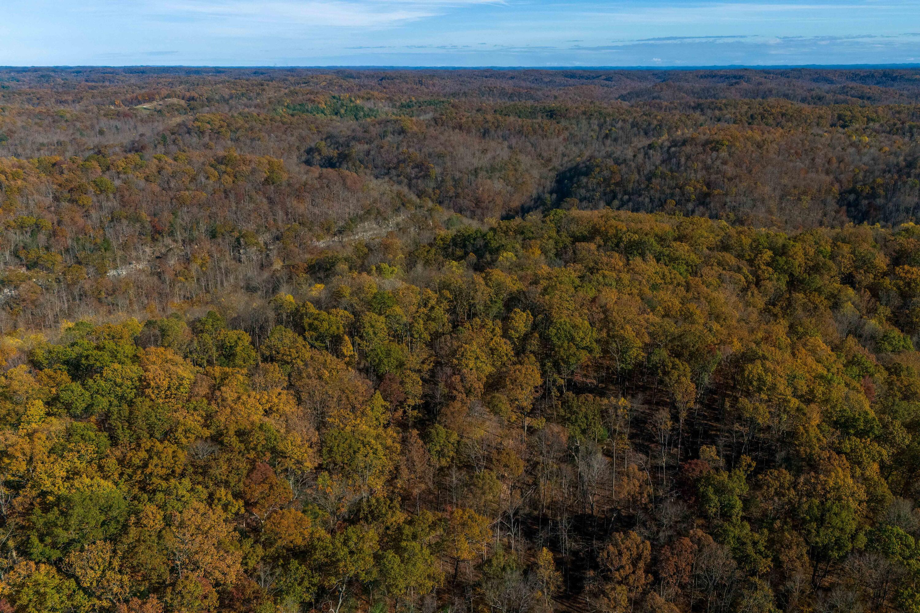 Image 4: Downsized-14