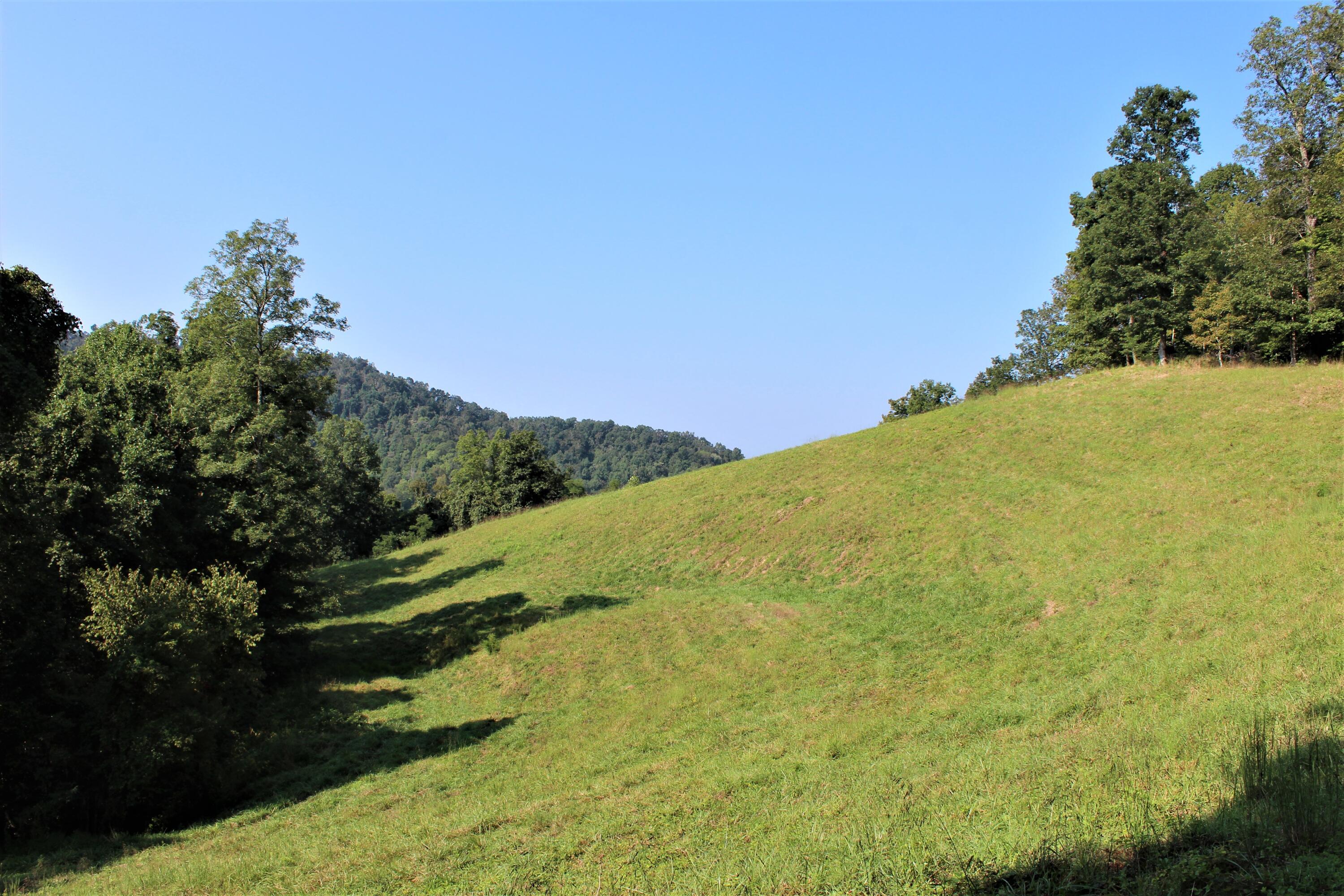 Image 2: 002 upper field shot near the east edge