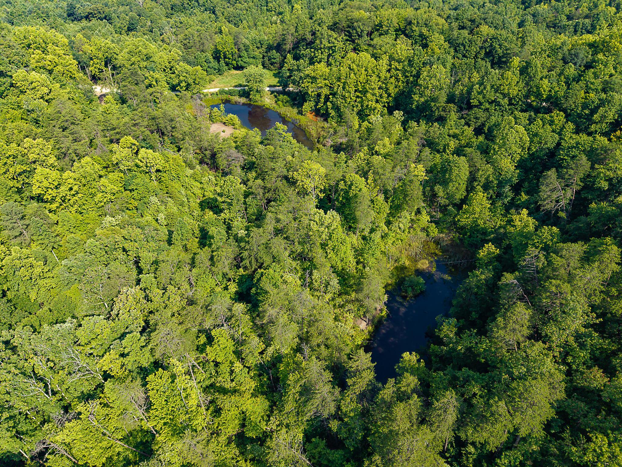 Image 2: Aerial of Property