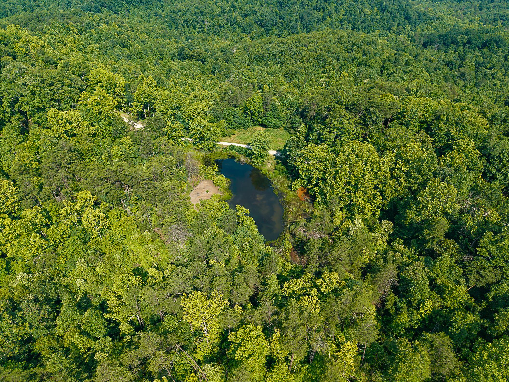 Image 3: Aerial of Property