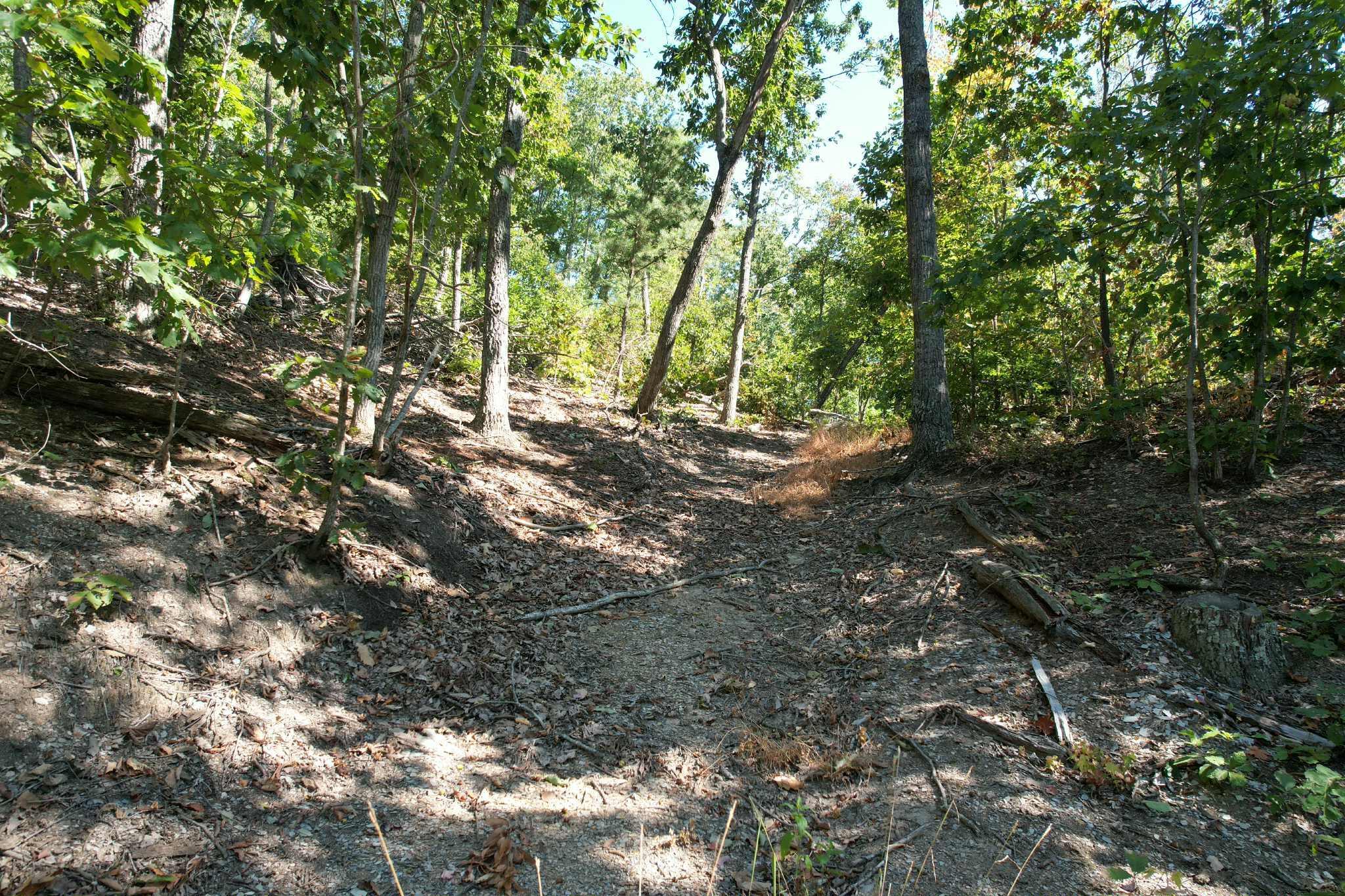 Image 1: att.lp_YN6S9rkNxjHE2b4zfjOApWFwtVj1h9opm