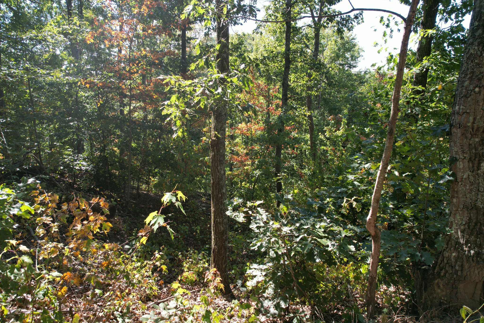 Image 2: att.Usozm19rGKP5JSpajRgWB17RIwpSOsgUGaIZ