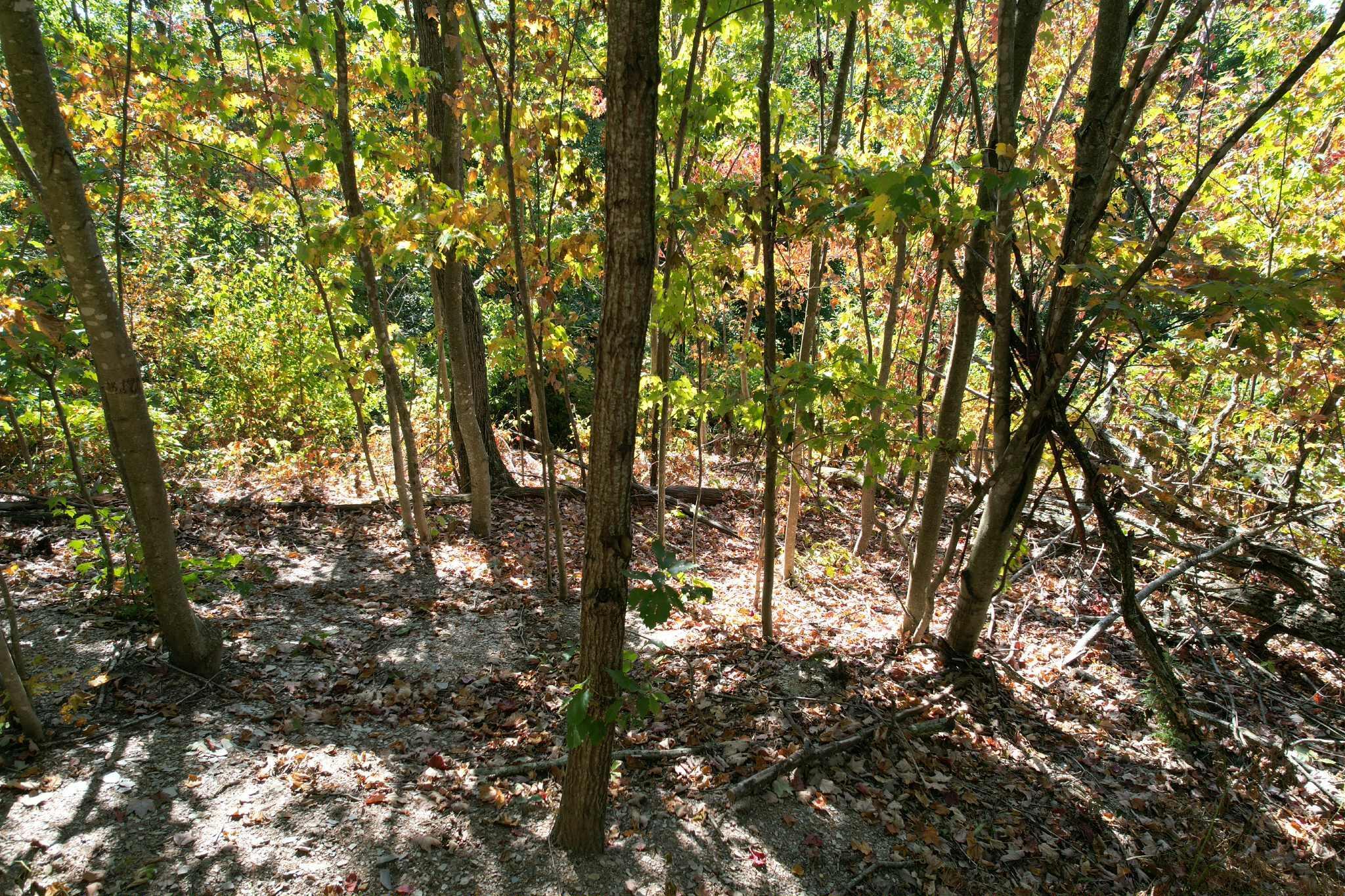 Image 3: att.fd4D_x1k5mYou4dpoQ06hm5buy3888iNVwka