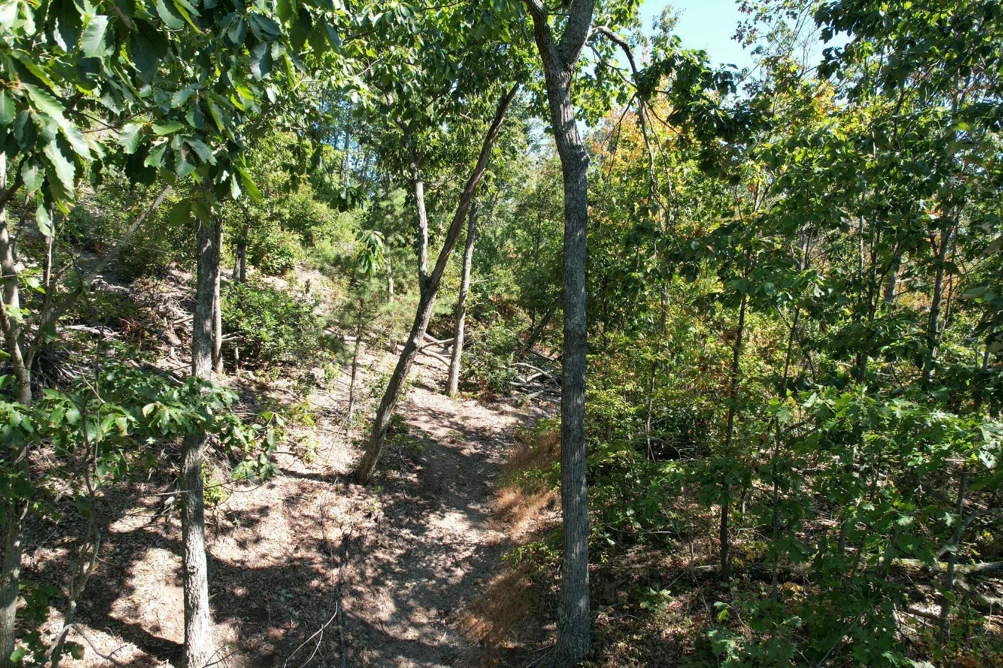 Image 4: att.h3GDjjraP9rRWOw-FVtw1P3edi-KDrMANASY