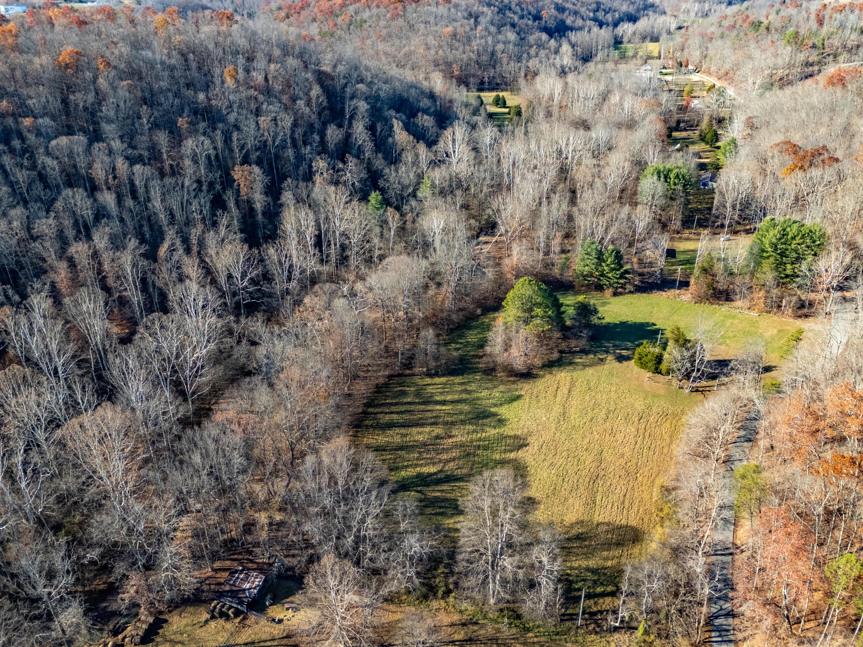 Image 3: DJI_20251117143643_0064_D-HDR