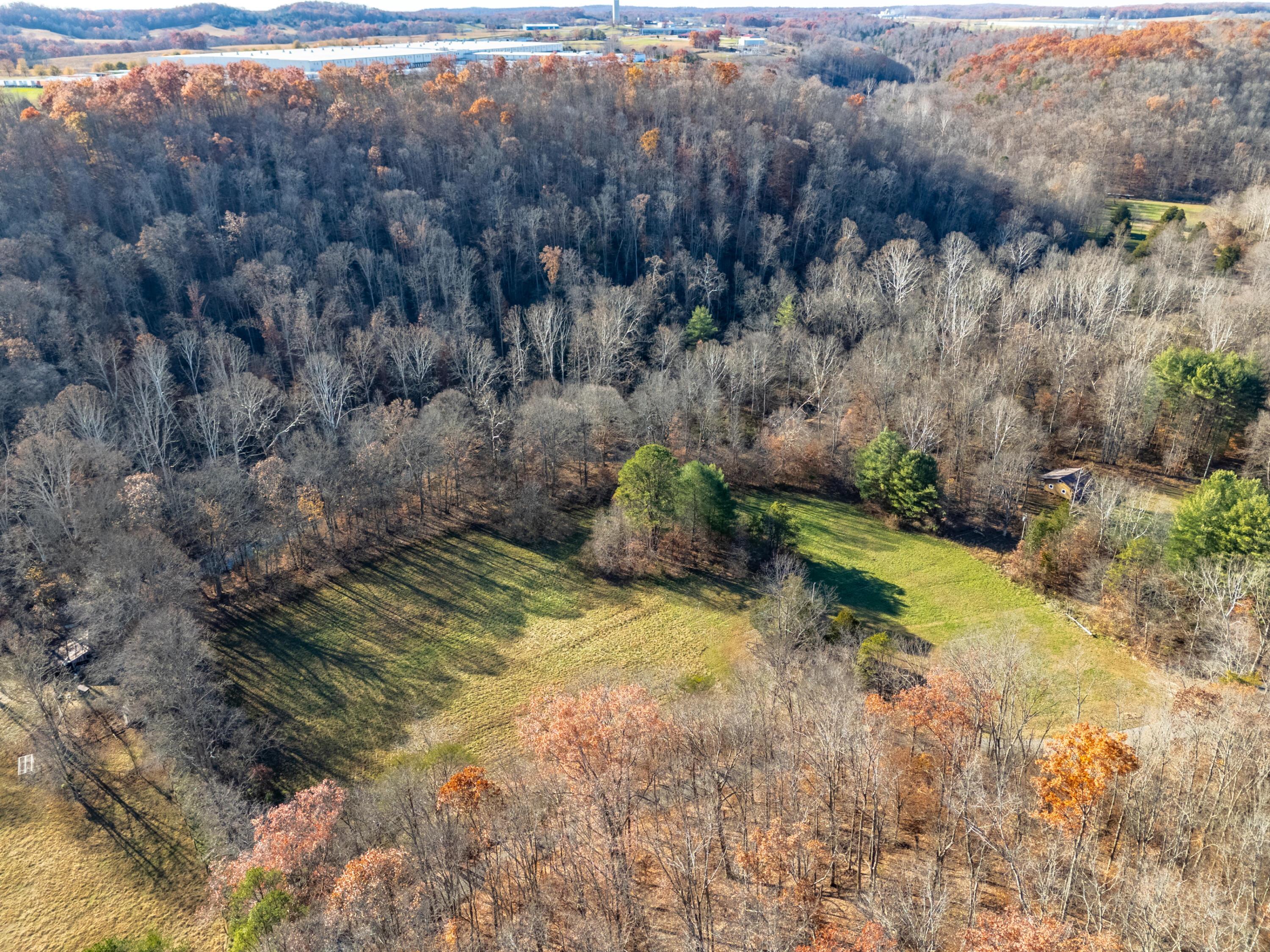 Image 4: DJI_20251117145423_0113_D-HDR