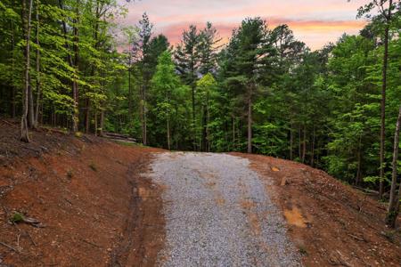 10 Clay-Alexander Road