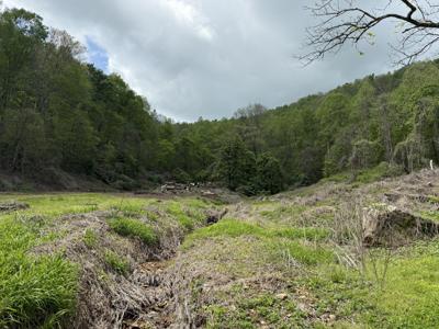 460 Bailey Branch Road