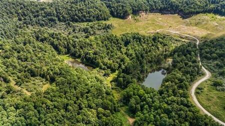 9999 Terrell Hollow Road