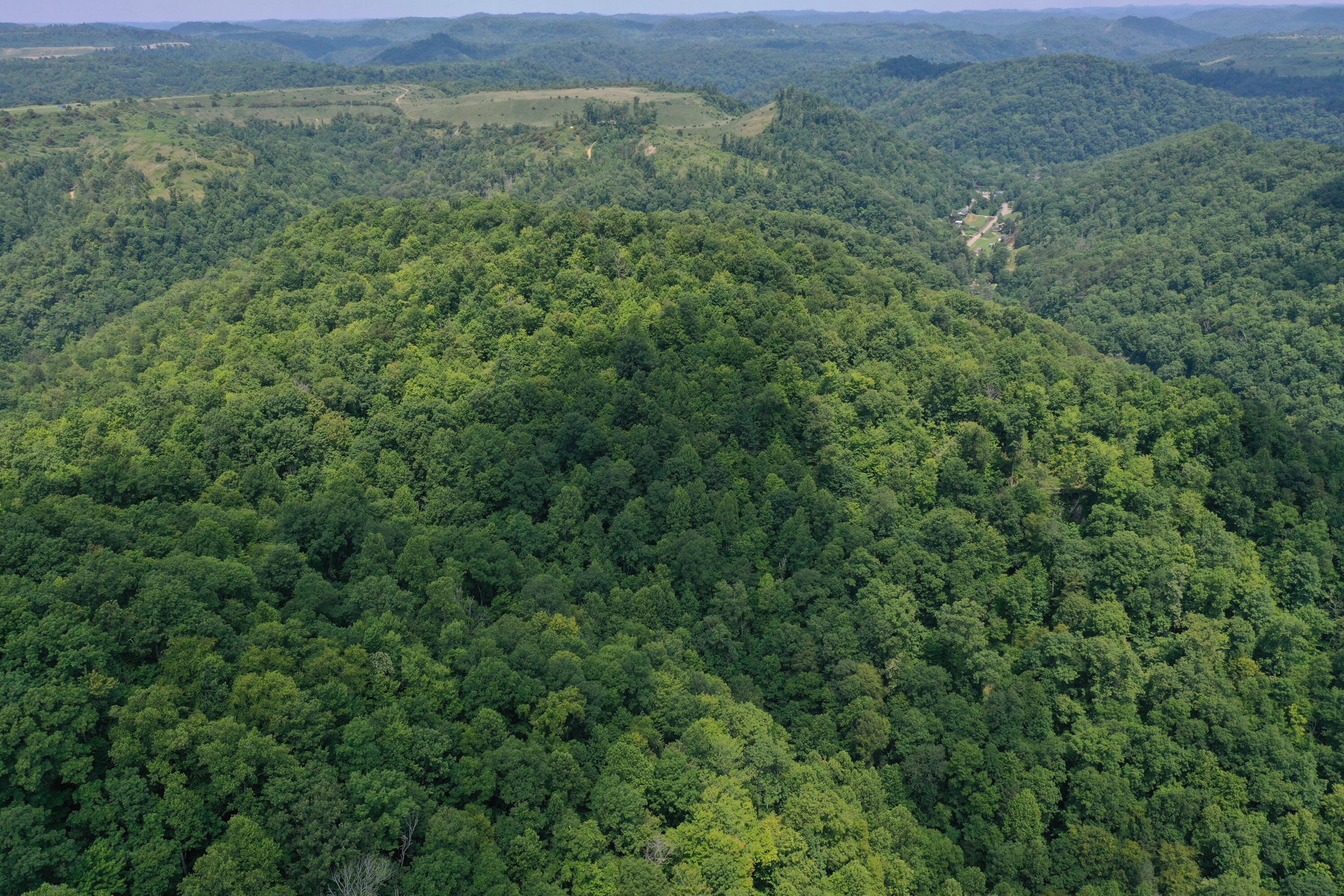 Image 1: DJI_0282