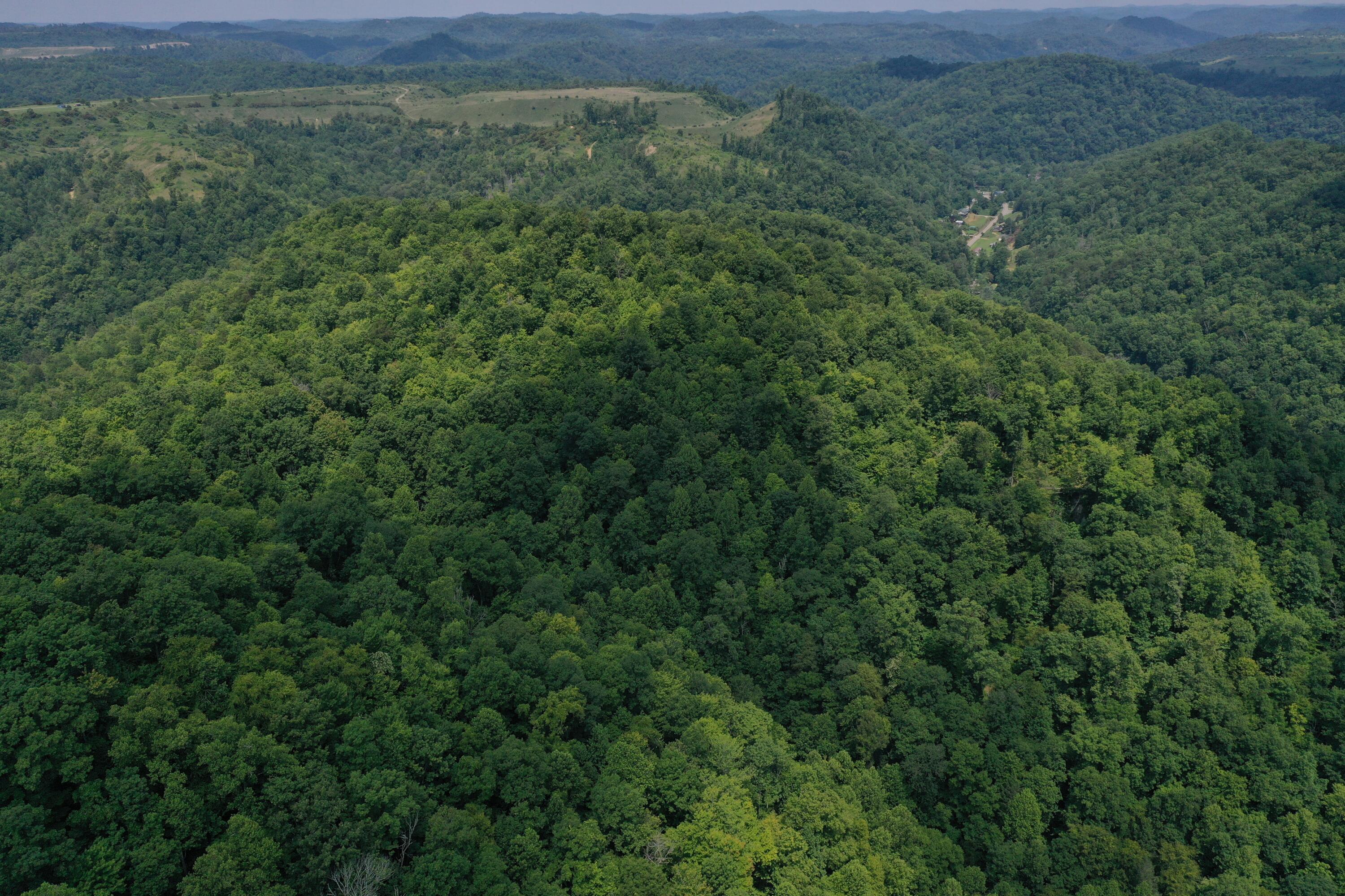 Image 2: DJI_0283