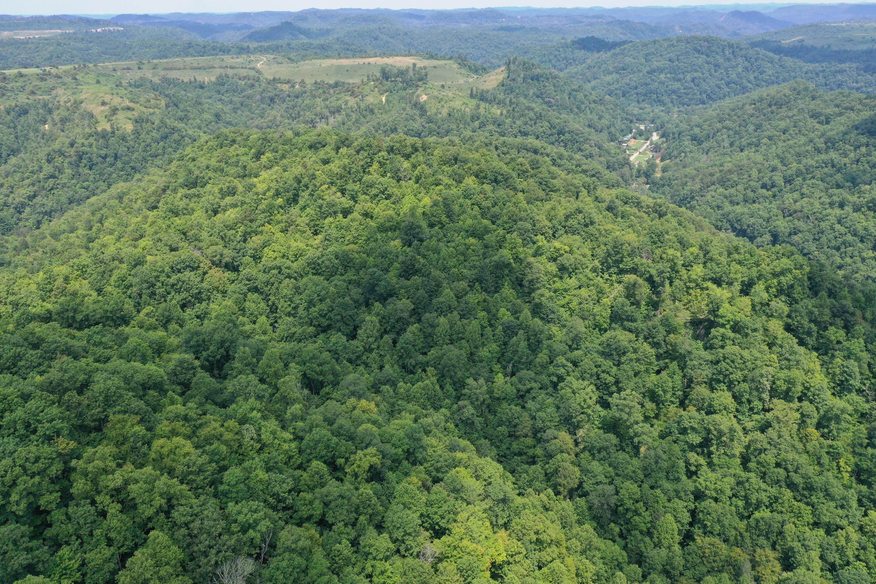 Image 3: DJI_0284