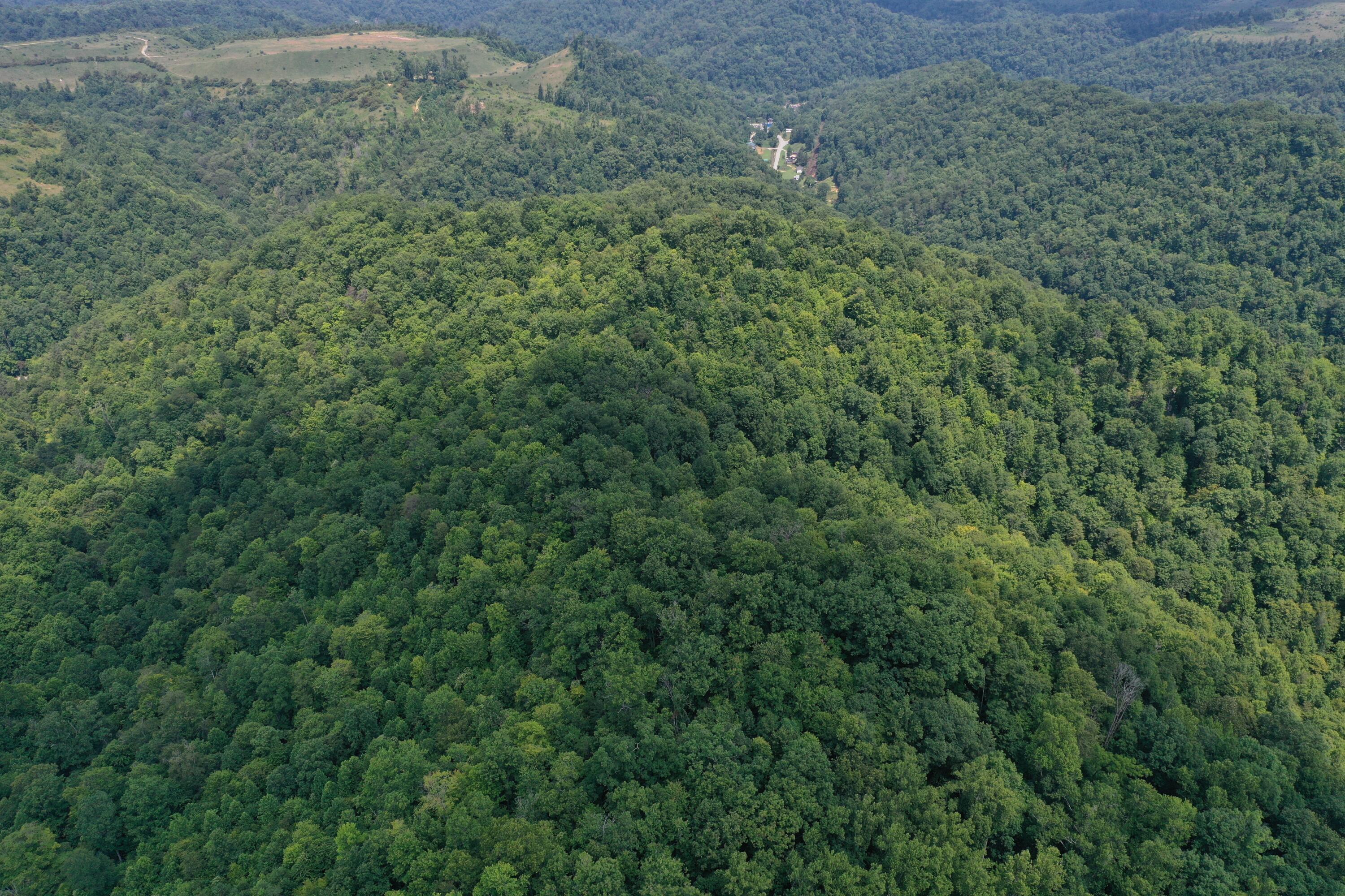 Image 4: DJI_0285