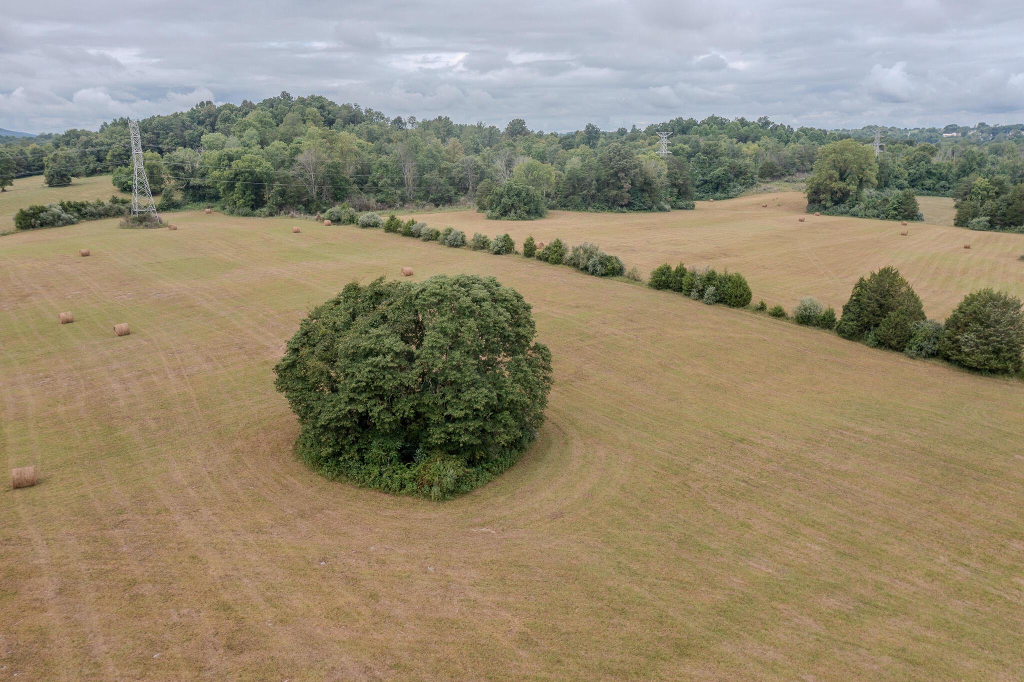 Image 2: Low Farm Photo 3
