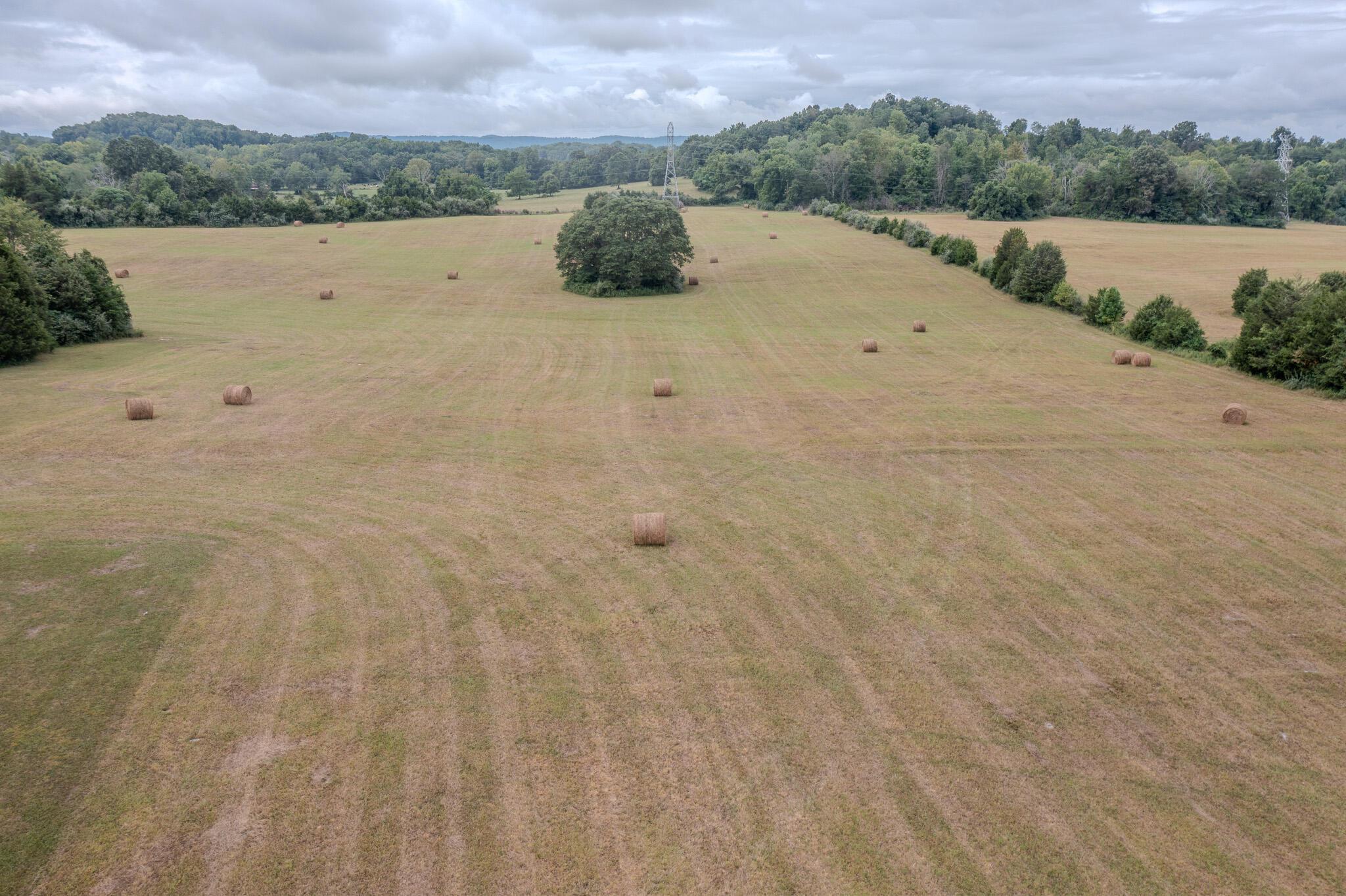 Image 4: Low Farm photo 1