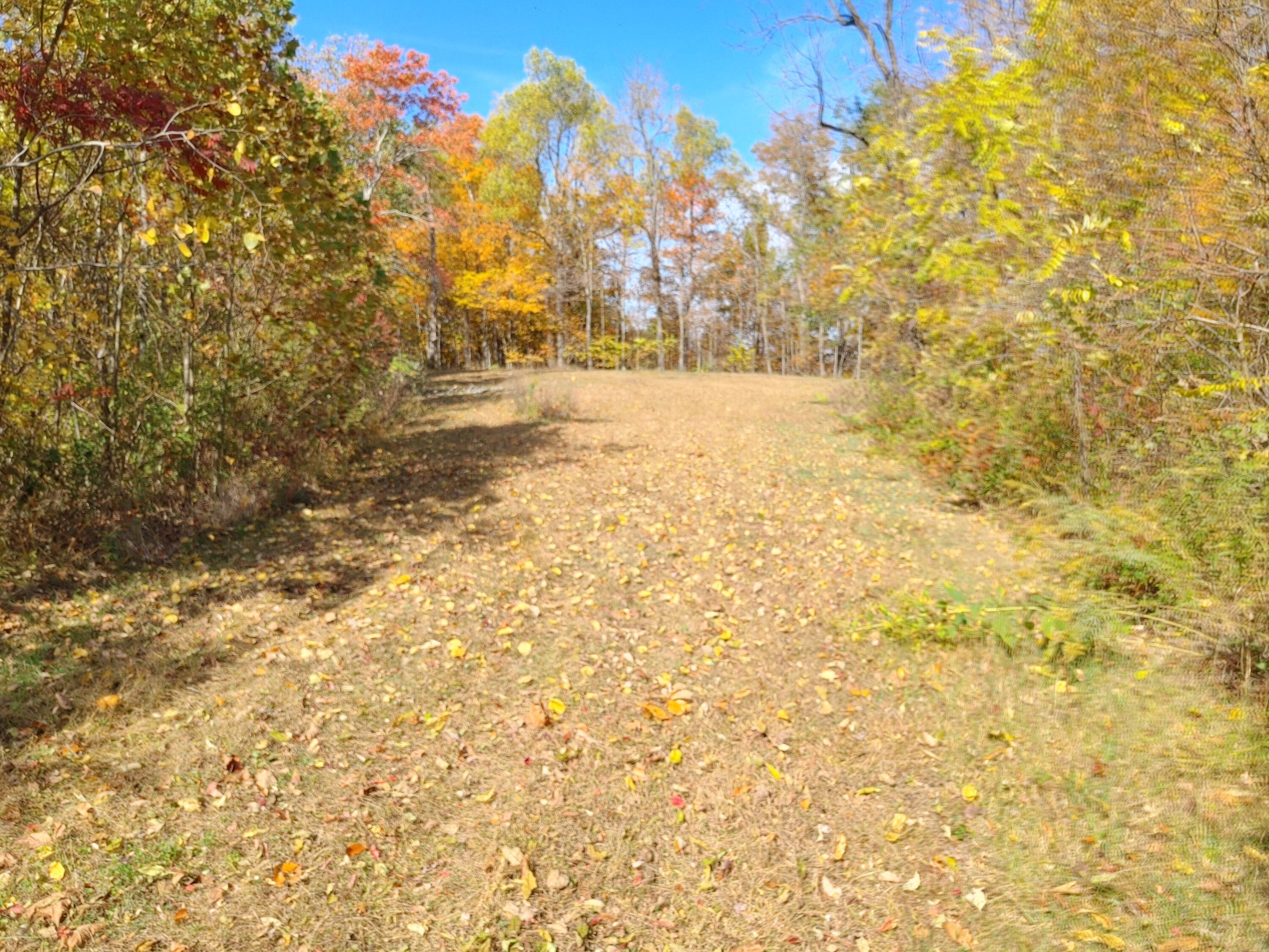 Image 1: 1025231212_HDR