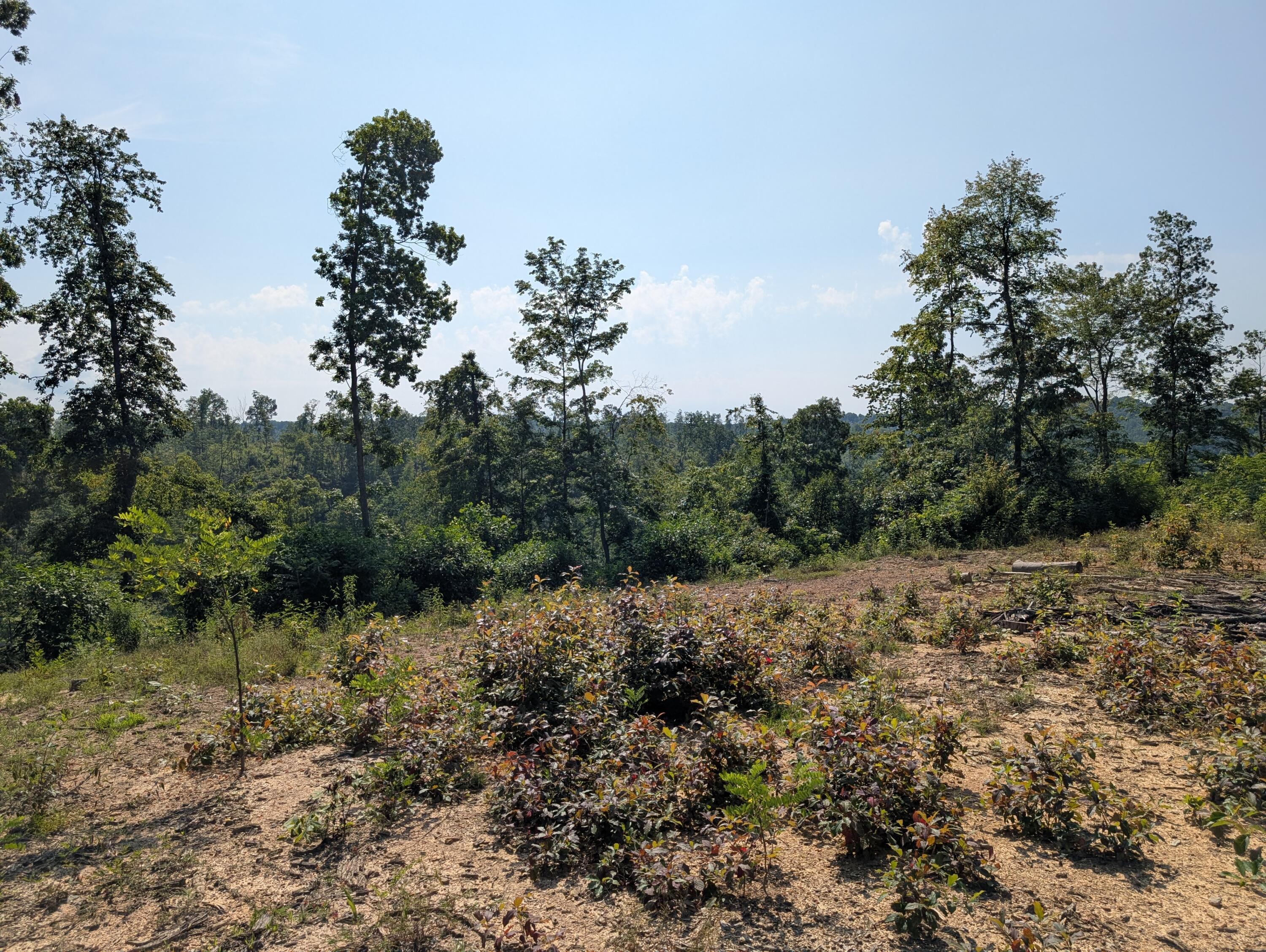 Image 2: PXL_20250626_143015127