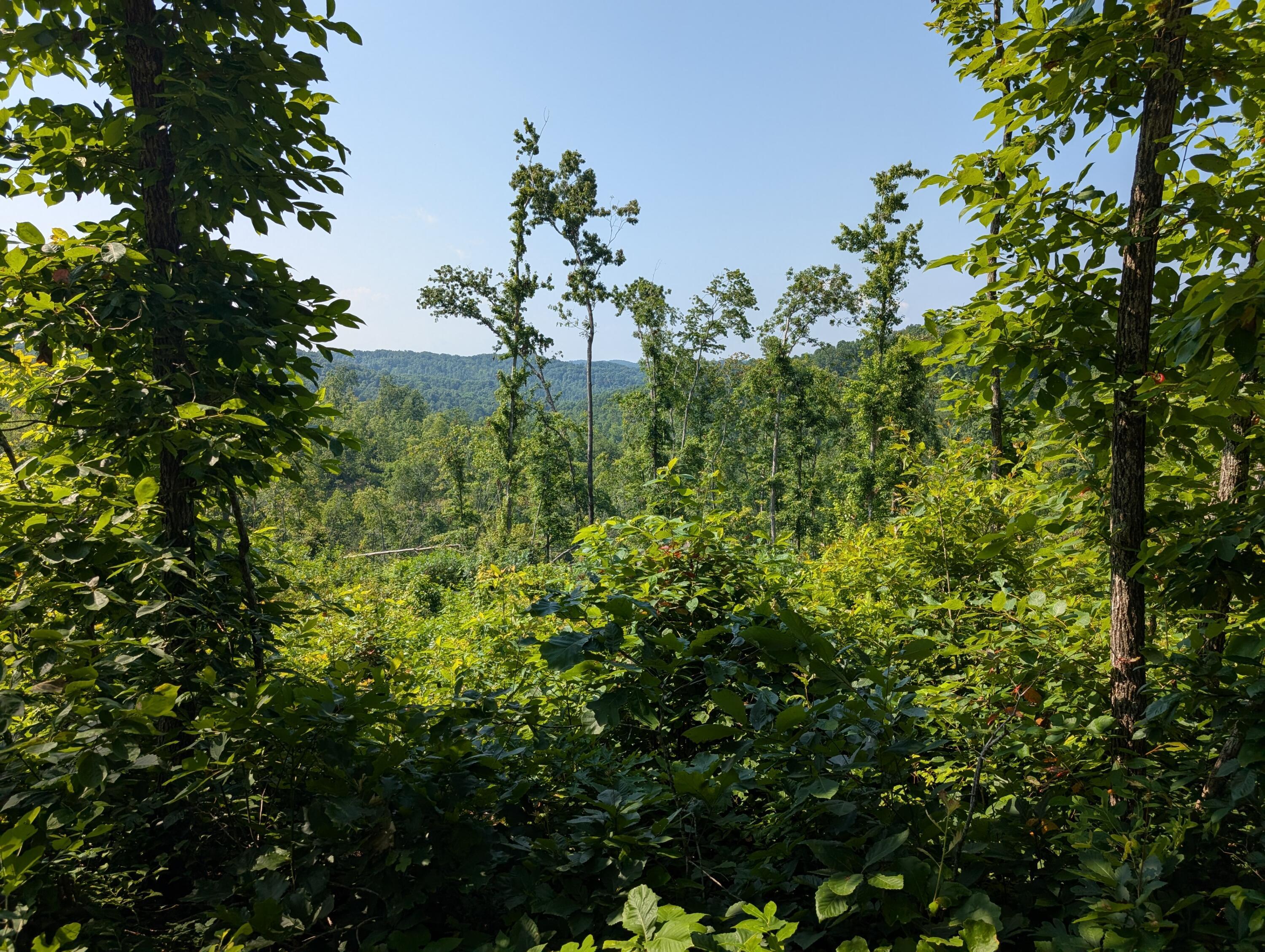 Image 4: PXL_20250626_143218106