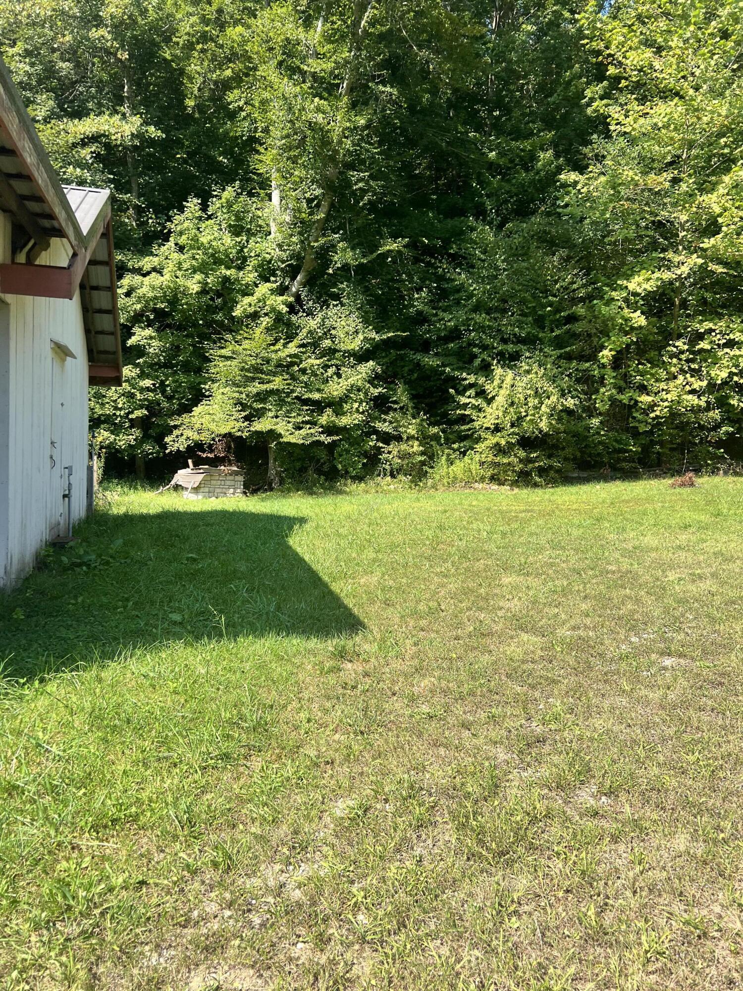 Image 2: IMG_5100