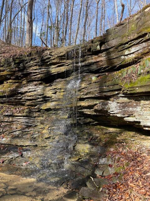 Image 1: Ohler1