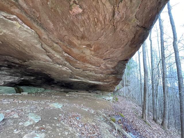 Image 2: ohler5