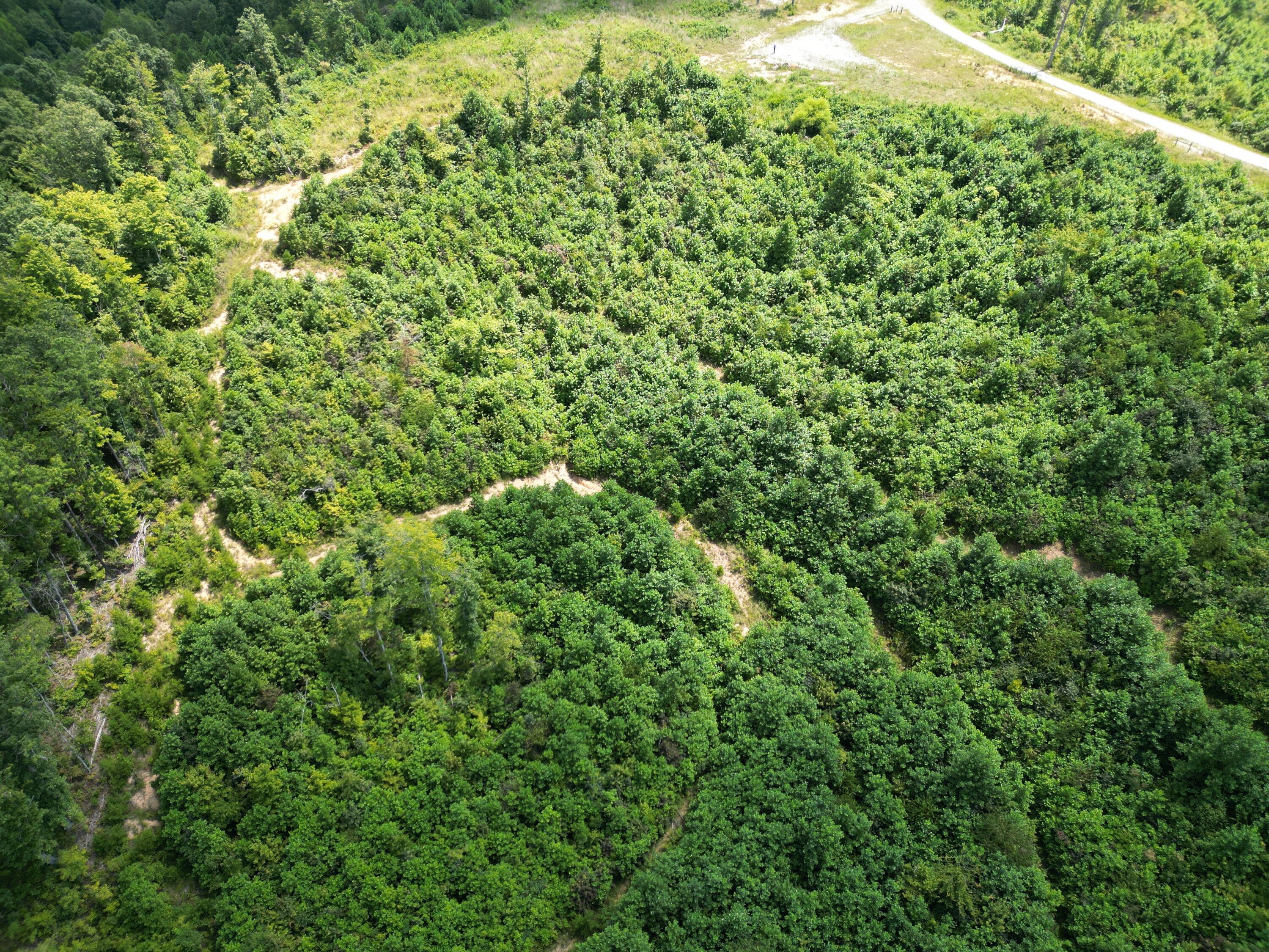 Image 4: DJI_0678