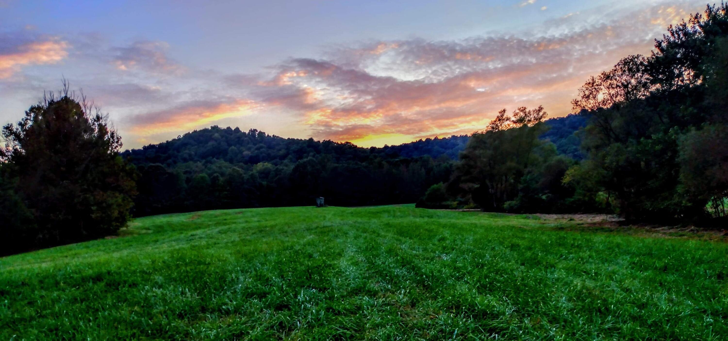 Image 1: middle of pasture