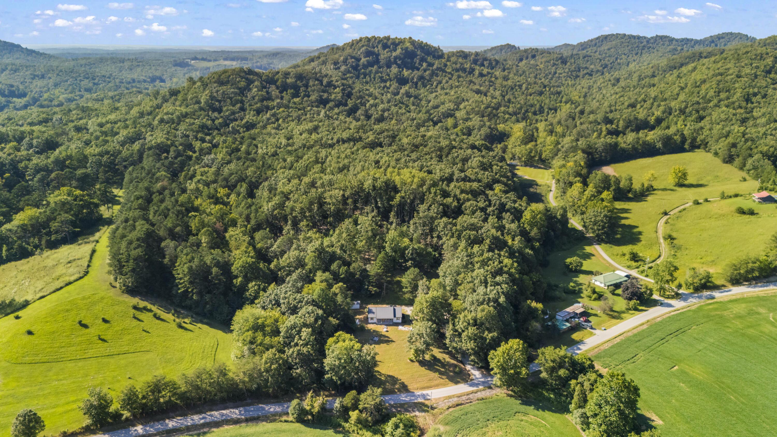 Image 4: DJI_20250819171228_0081_D