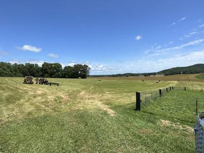 Tract 2 Buffalo Trace