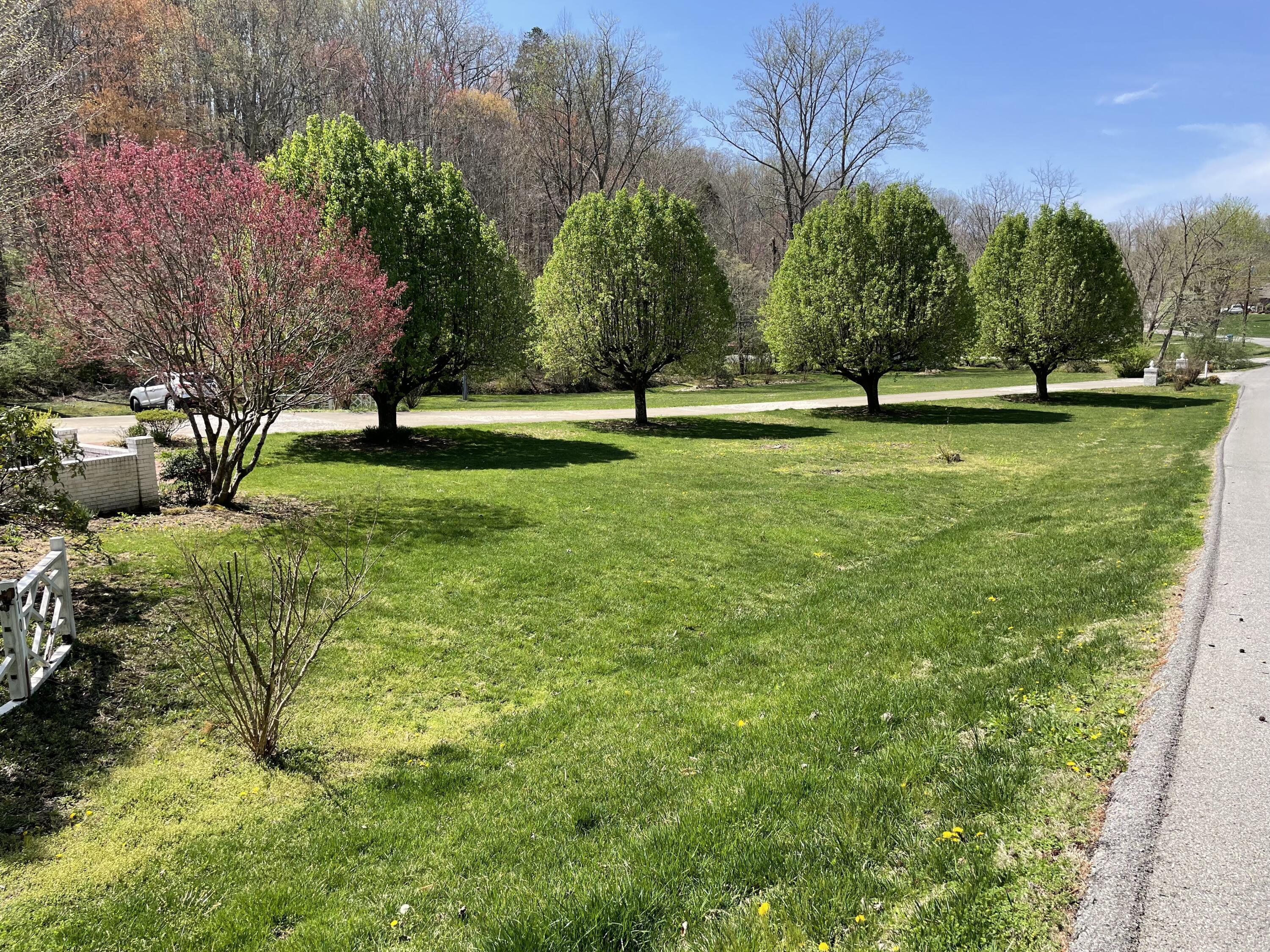Image 4: Front yard