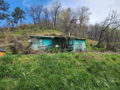 87 Springfield Drive