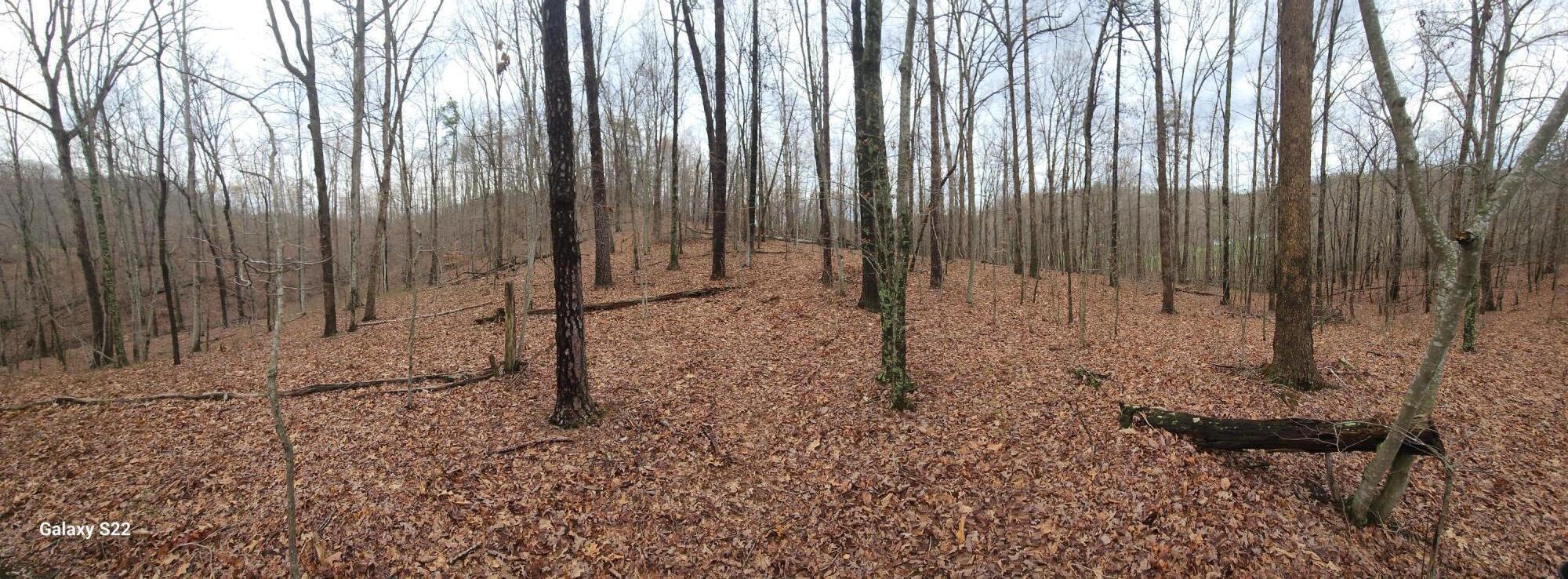 Image 2: 20250405_173014