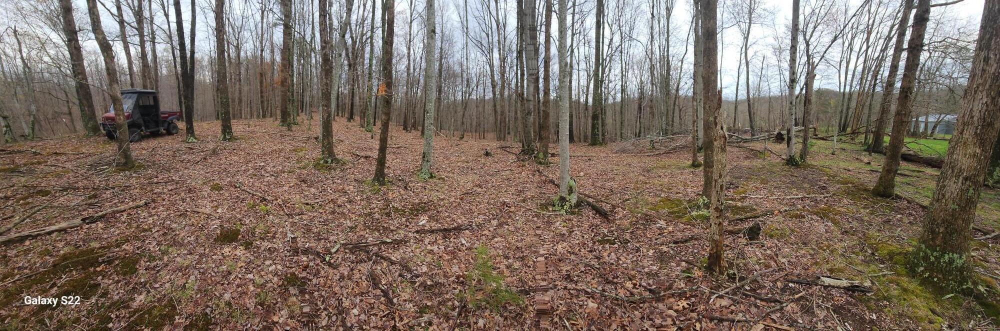 Image 3: 20250405_173548