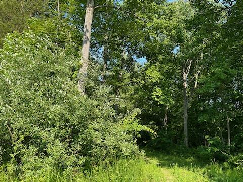 Image 3: IMG_0302001