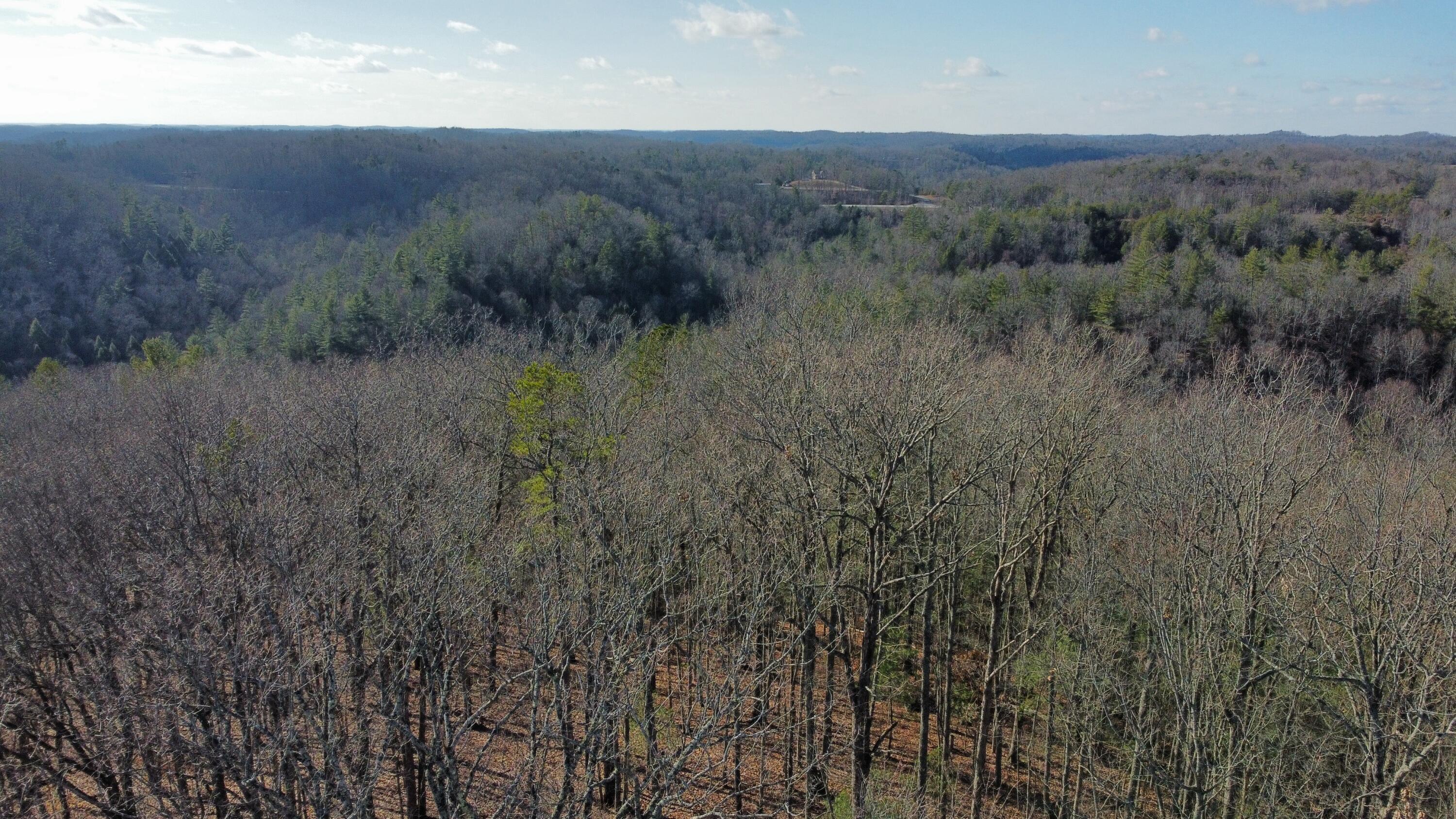 Image 4: dji_fly_20250102_133738_682_173584313212