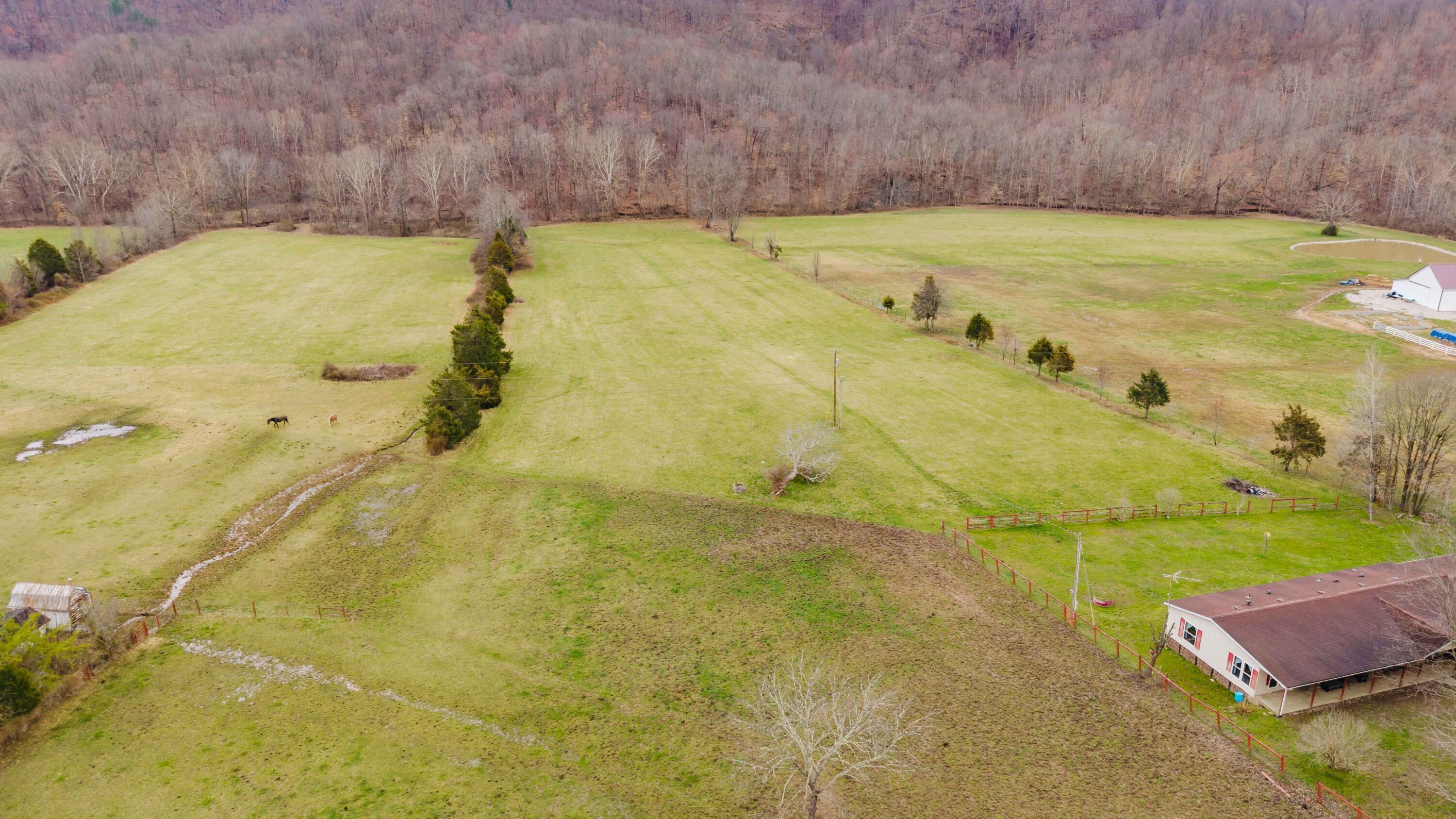 Image 2: TBD Pine Grove Road-74