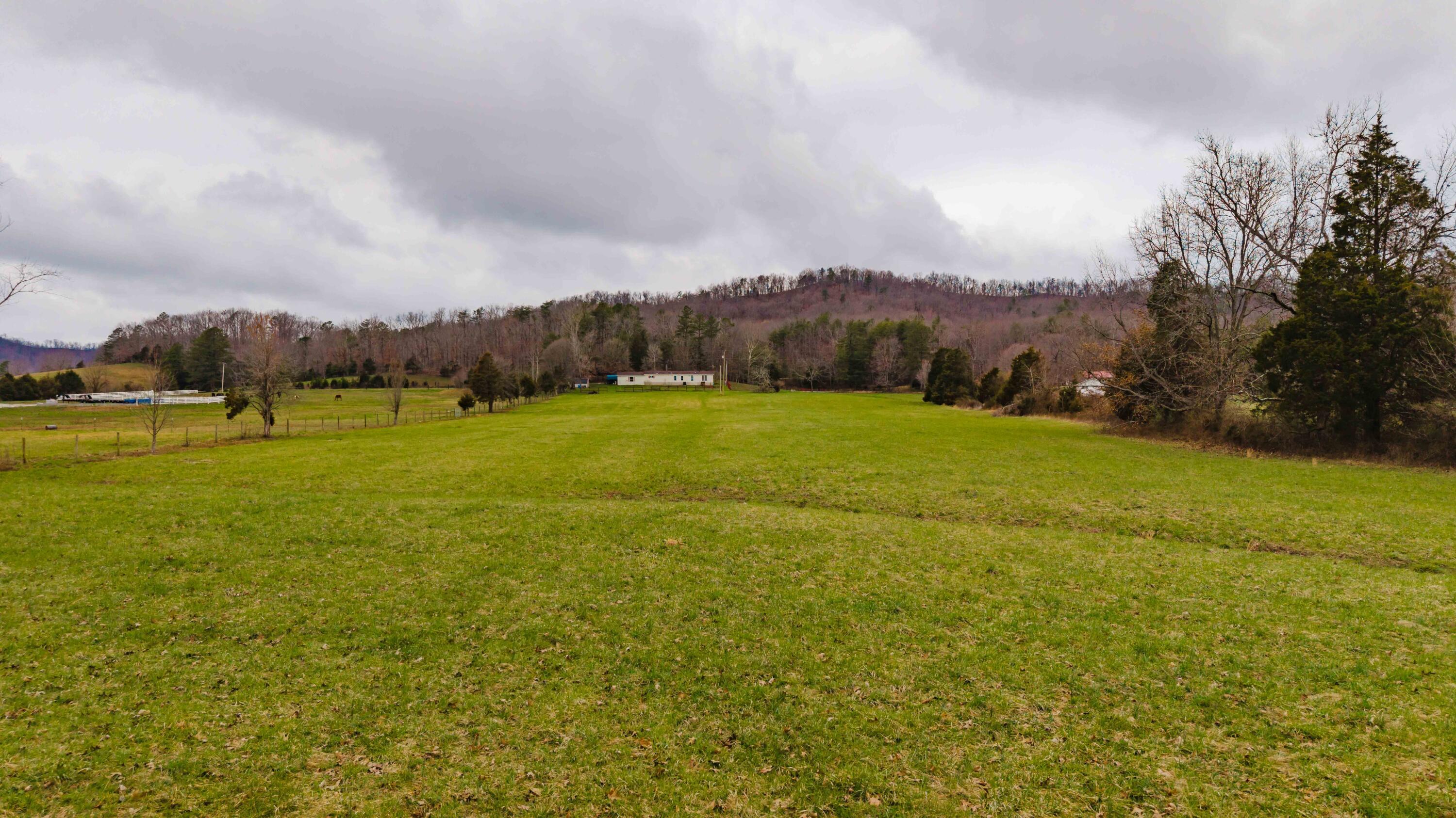 Image 4: TBD Pine Grove Road-77