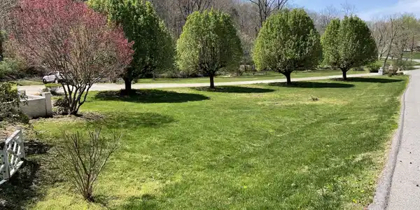 Image 4: Front yard