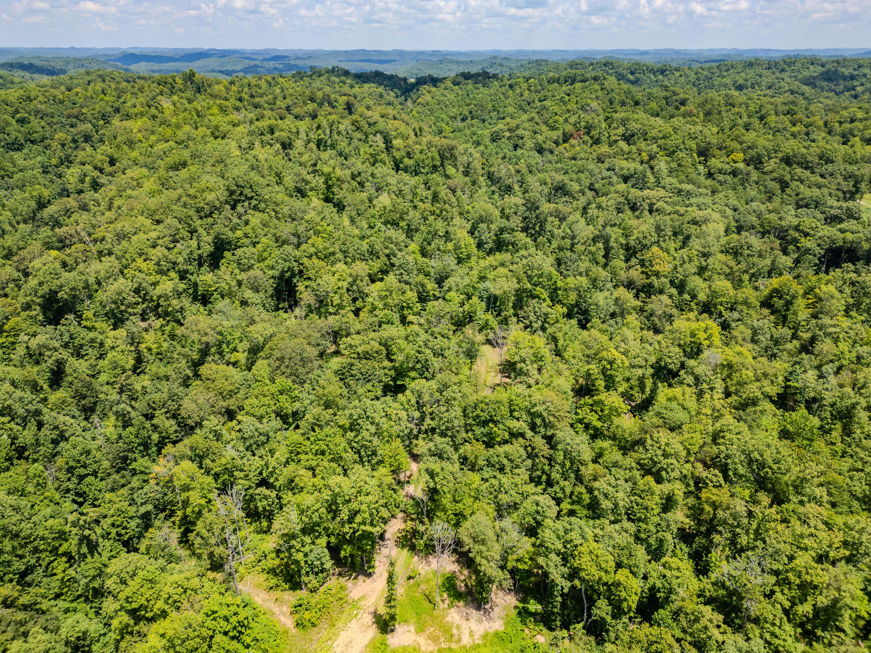 Image 2: 2291BlankeyBranch-0345