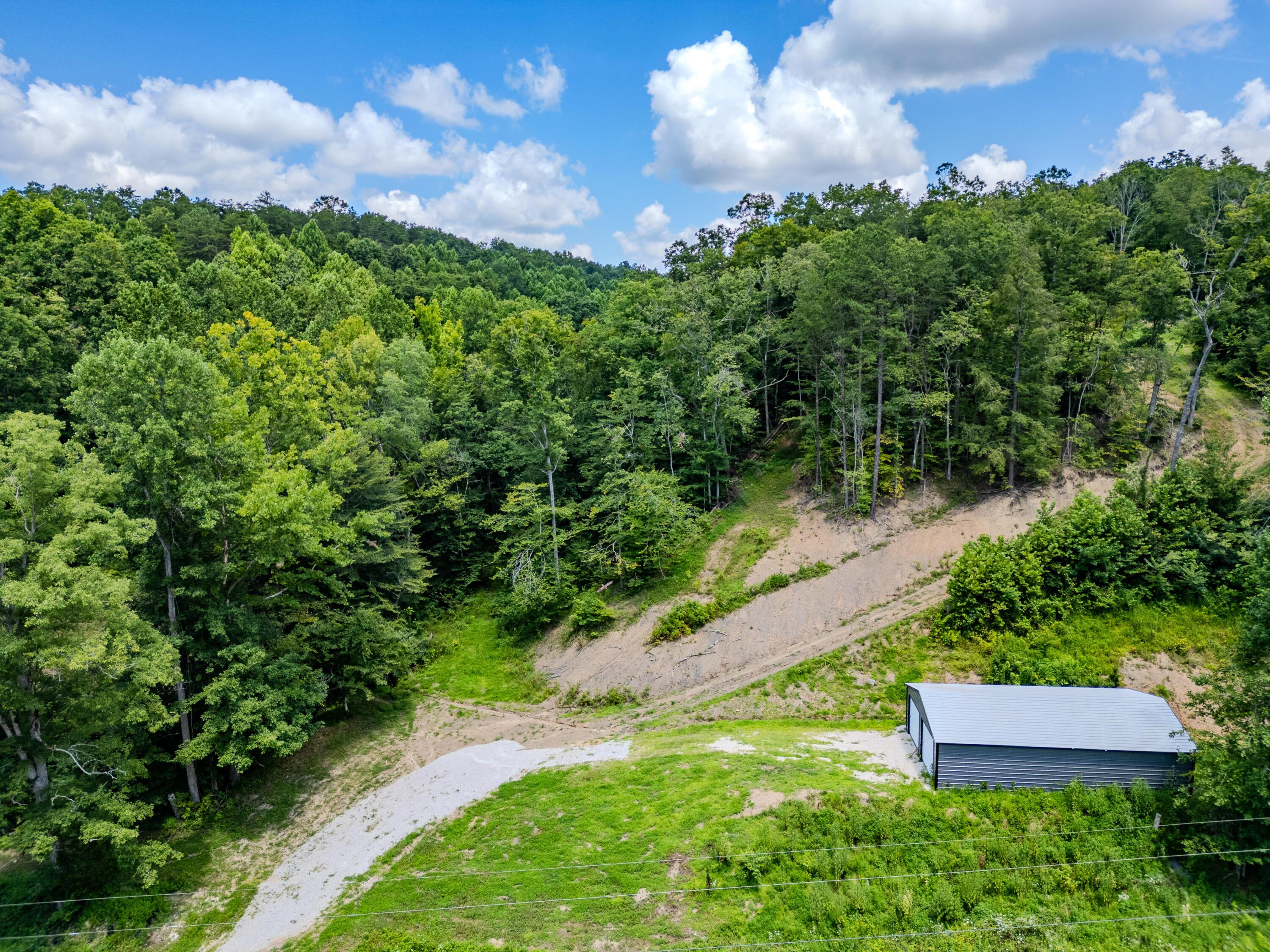 Image 4: 2291BlankeyBranch-0296