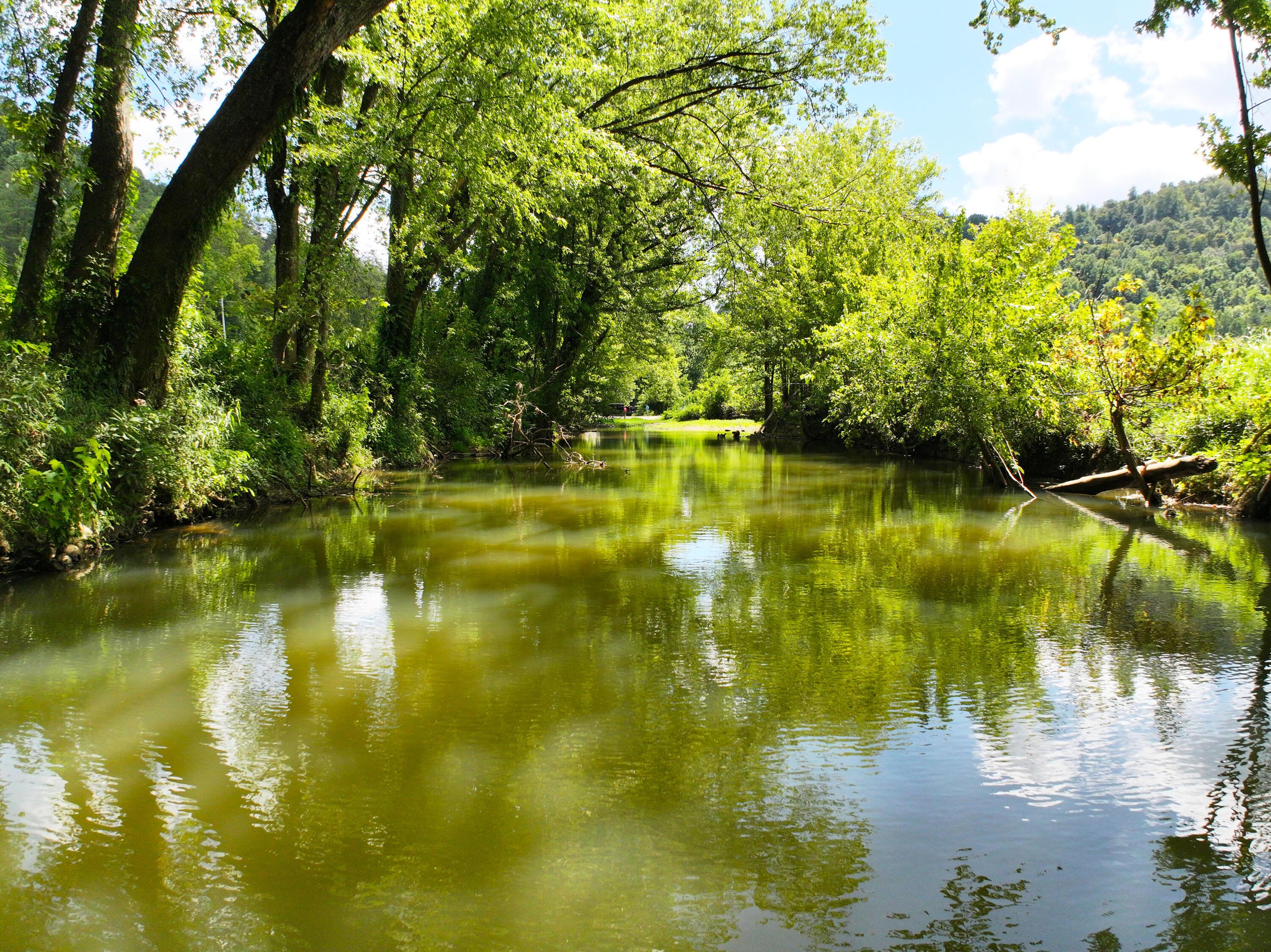 Image 2: Station Camp Creek! Creek!