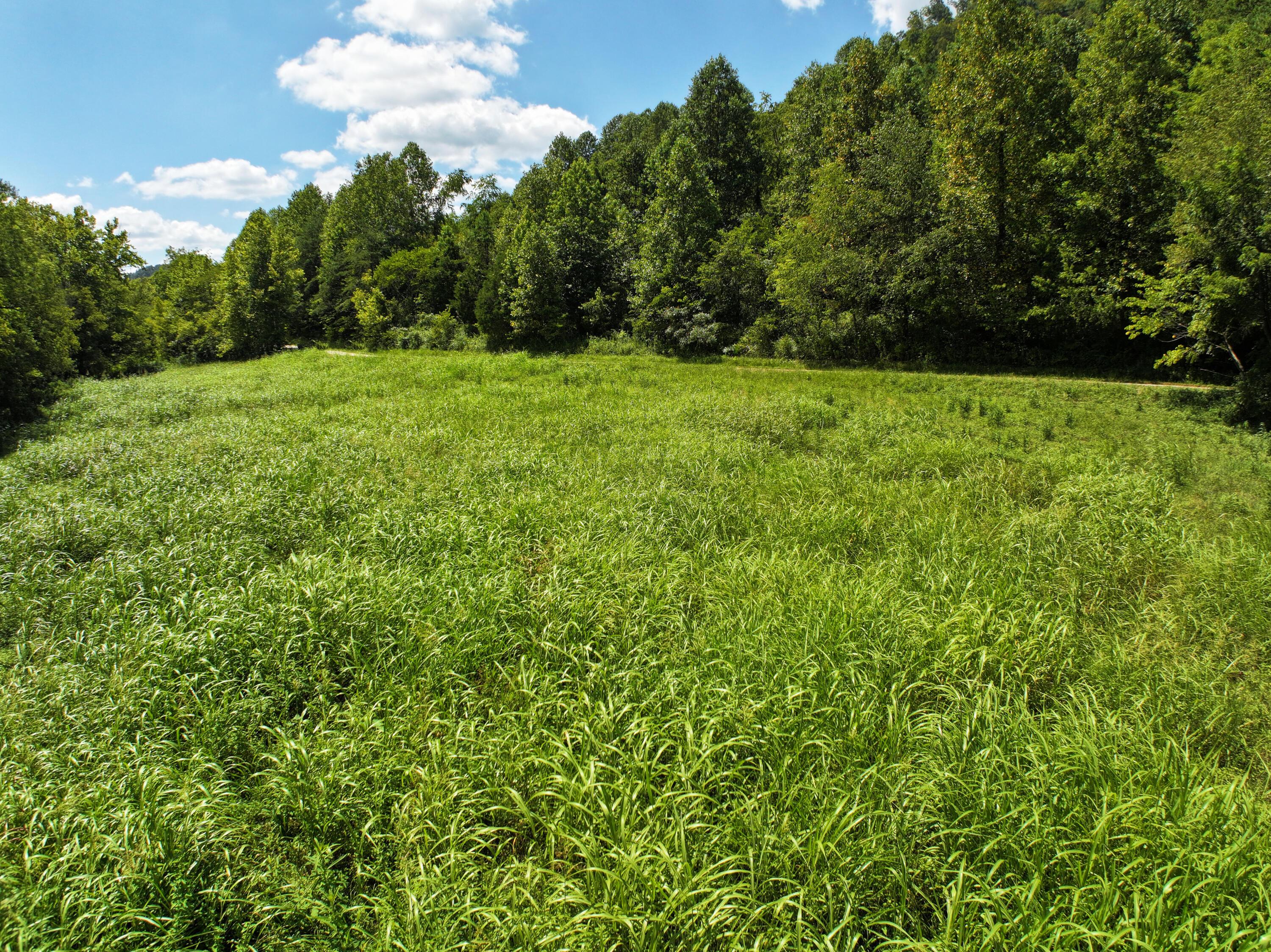 Image 3: 2.329 acres!