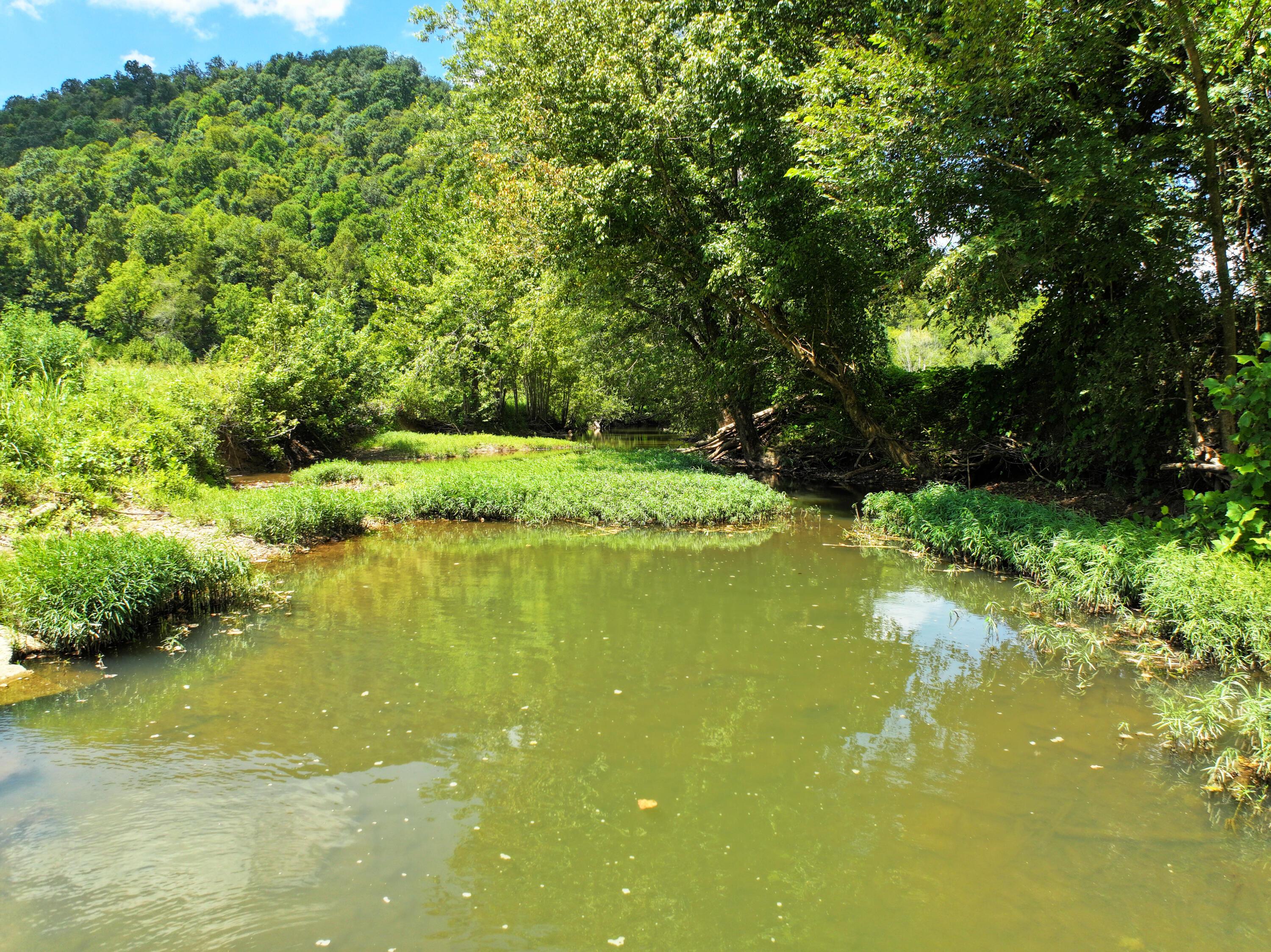 Image 4: Fisherman's dream!