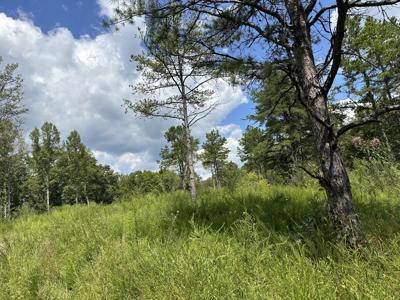 424-Tract 6 W 577 Highway