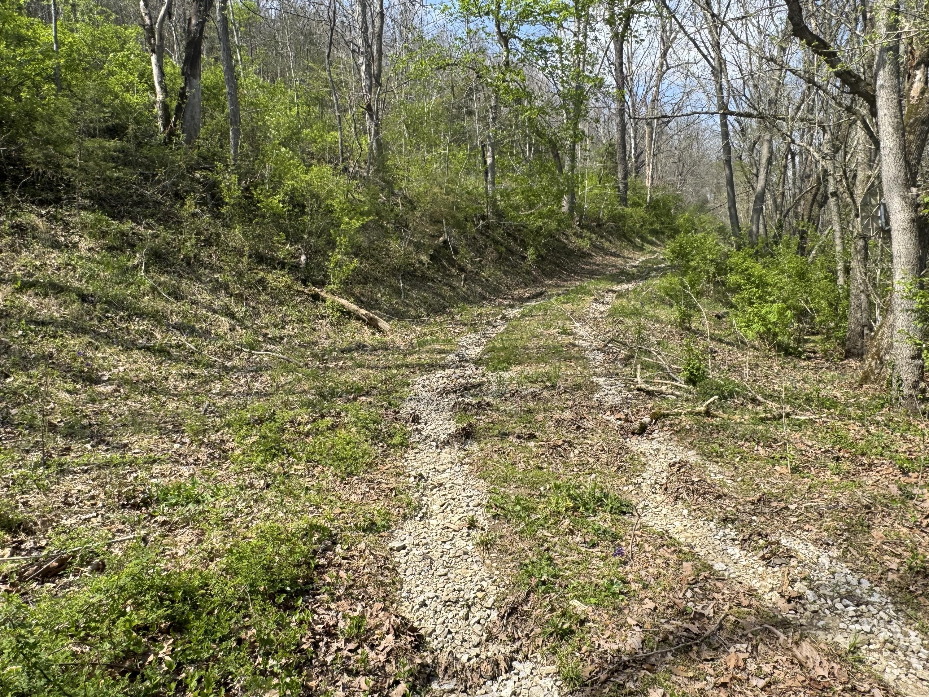 Image 3: IMG_5403