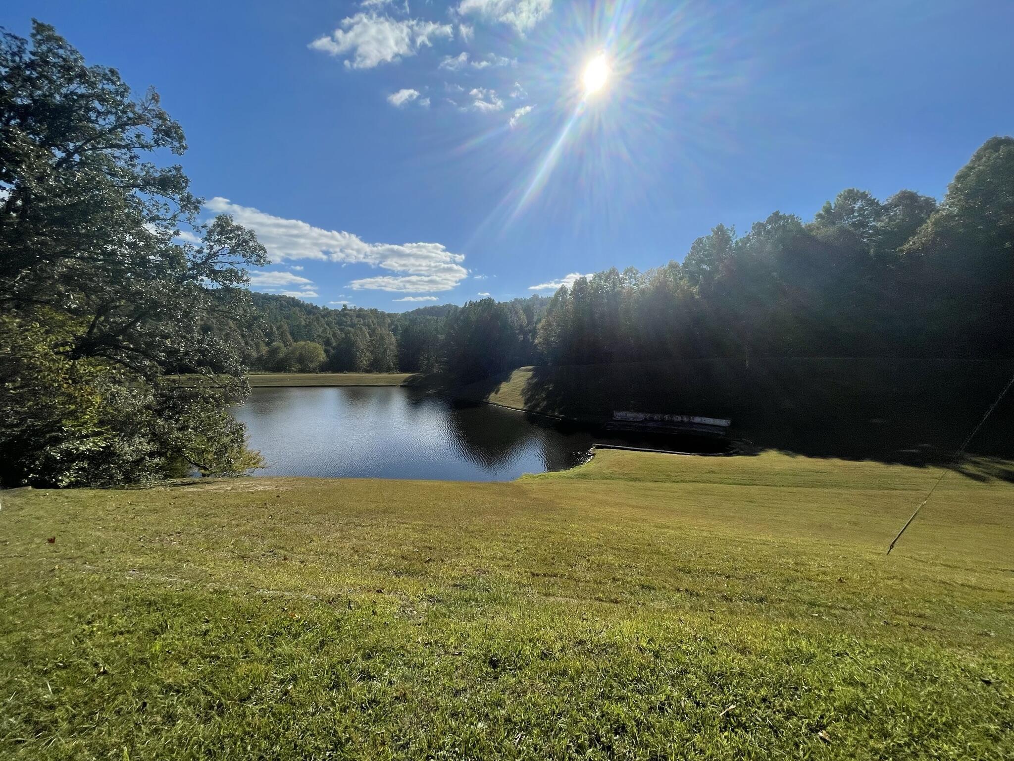 Image 4: 20230810014633921943000000-o