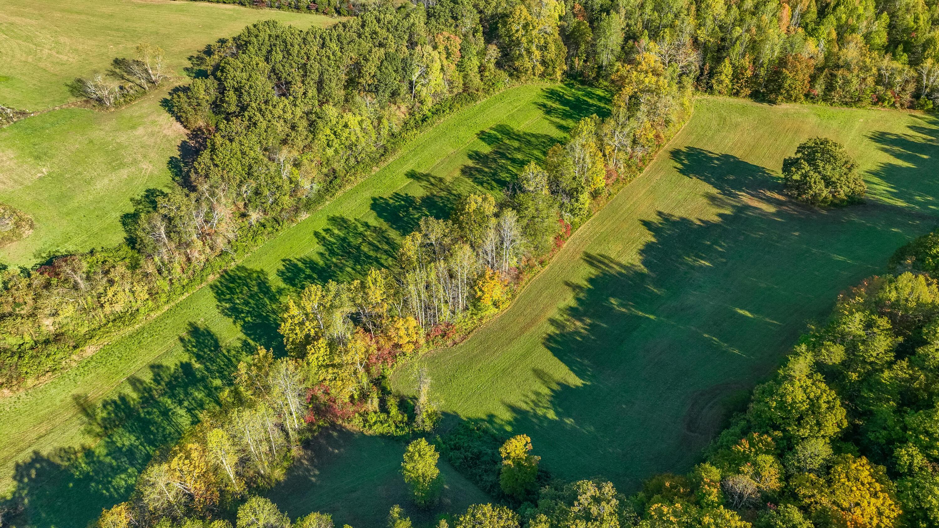 Image 3: 276 Long Branch Rd-9