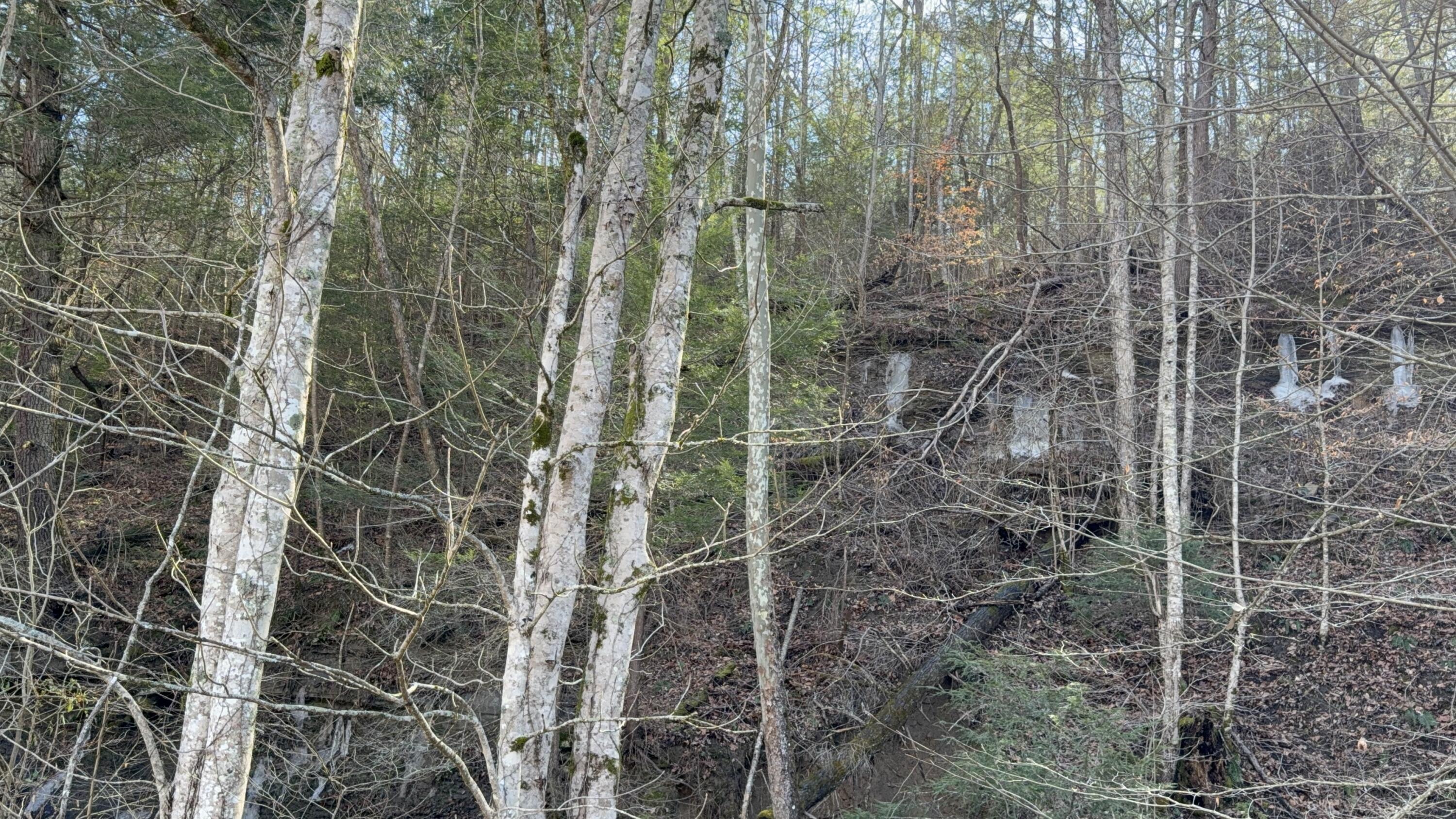 Image 3: IMG_2825 - Copy