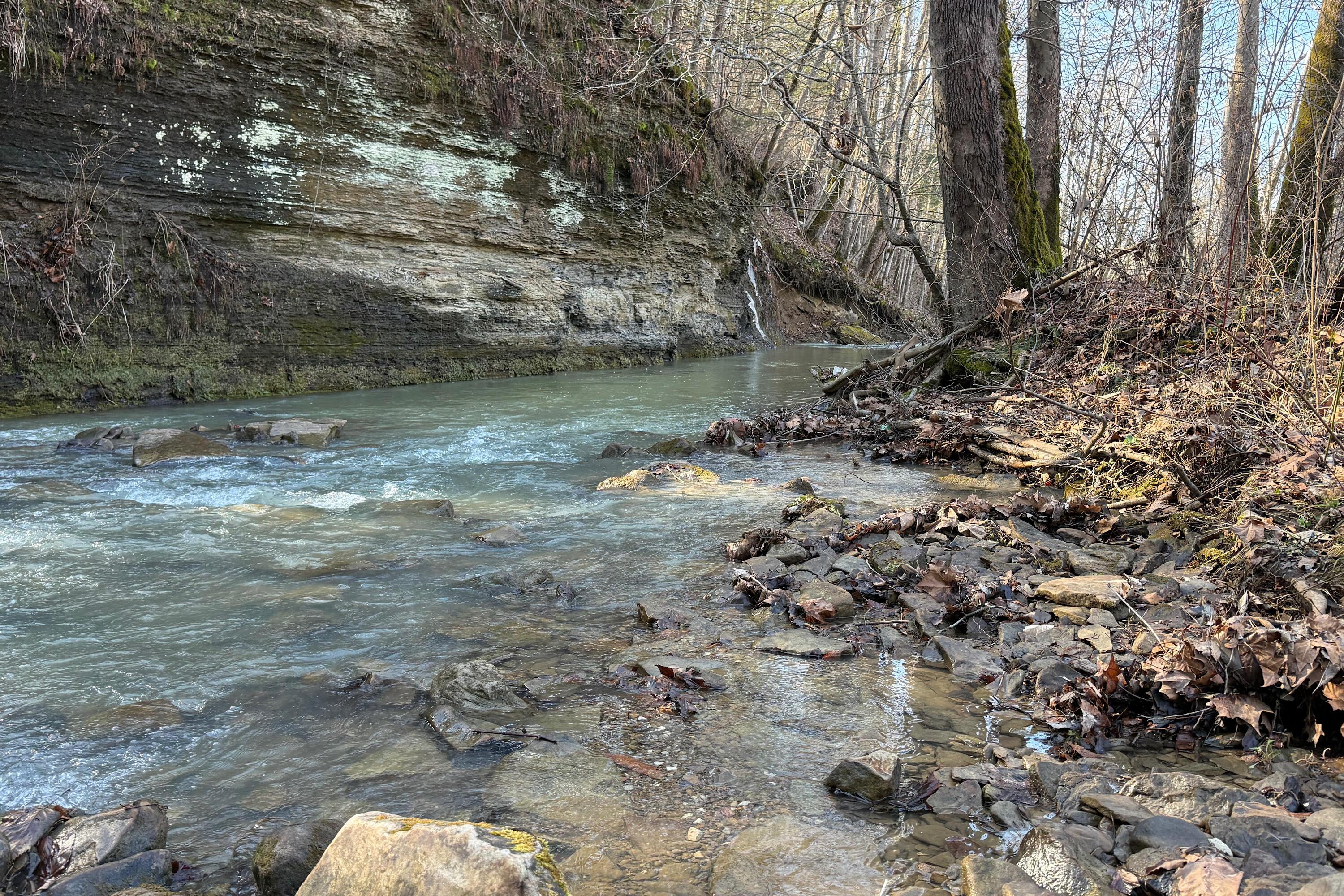 Image 4: IMG_2026-02-25-125737